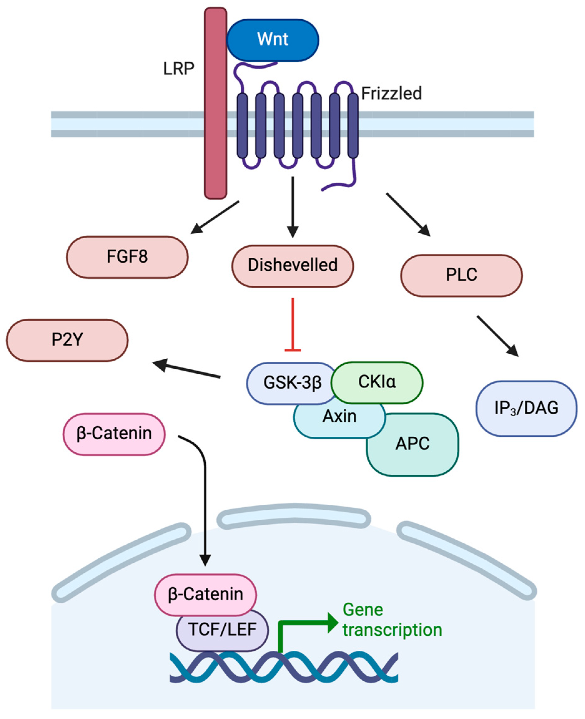 Molecules 30 00839 g003