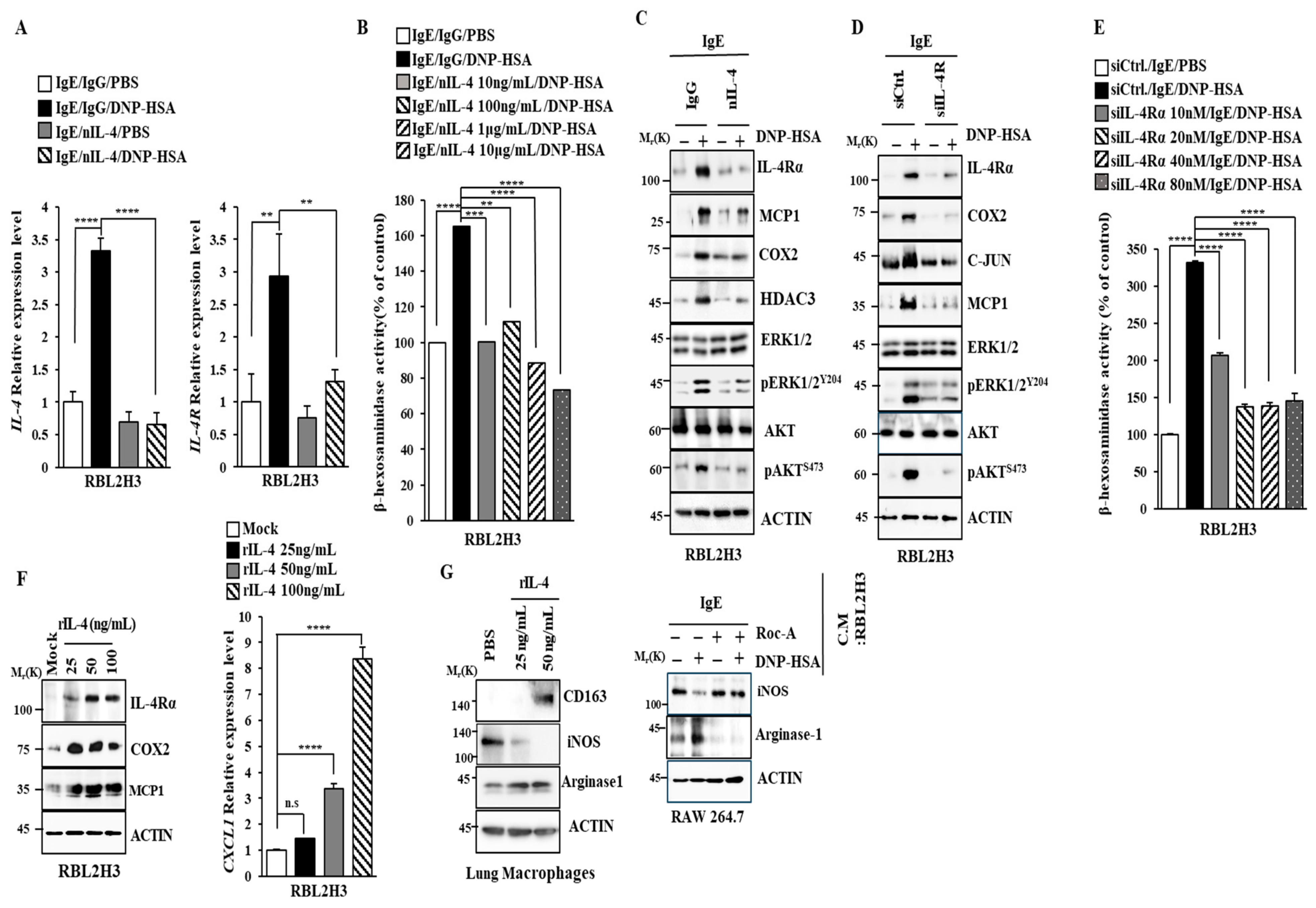 Molecules 30 00840 g007