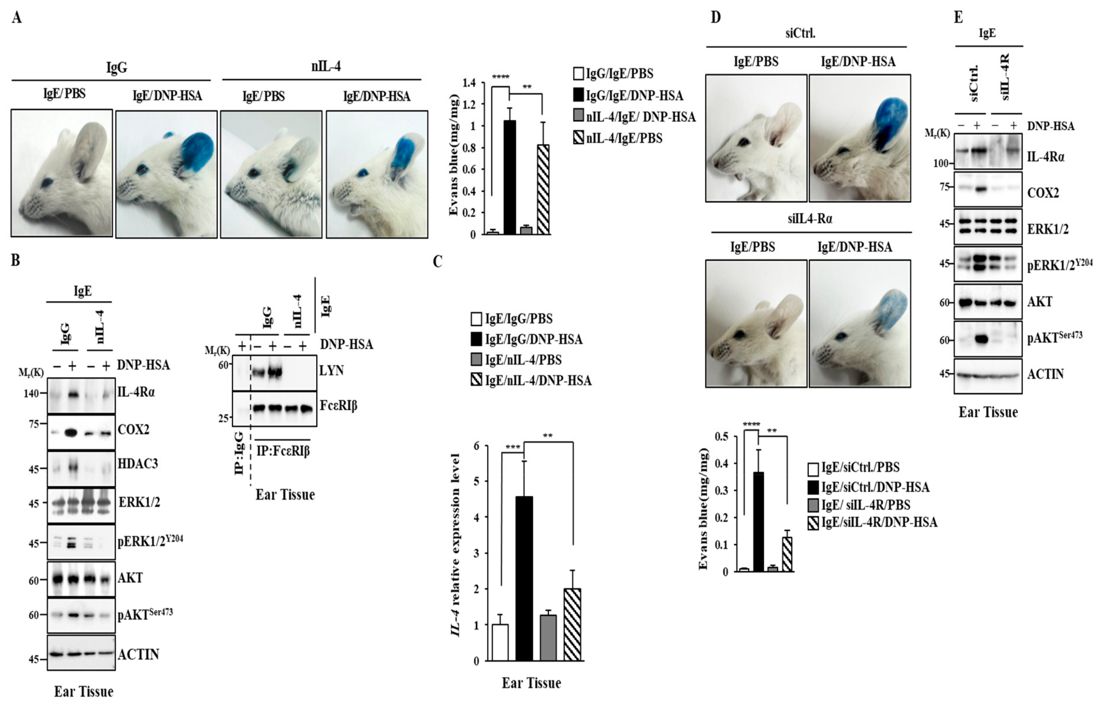 Molecules 30 00840 g008