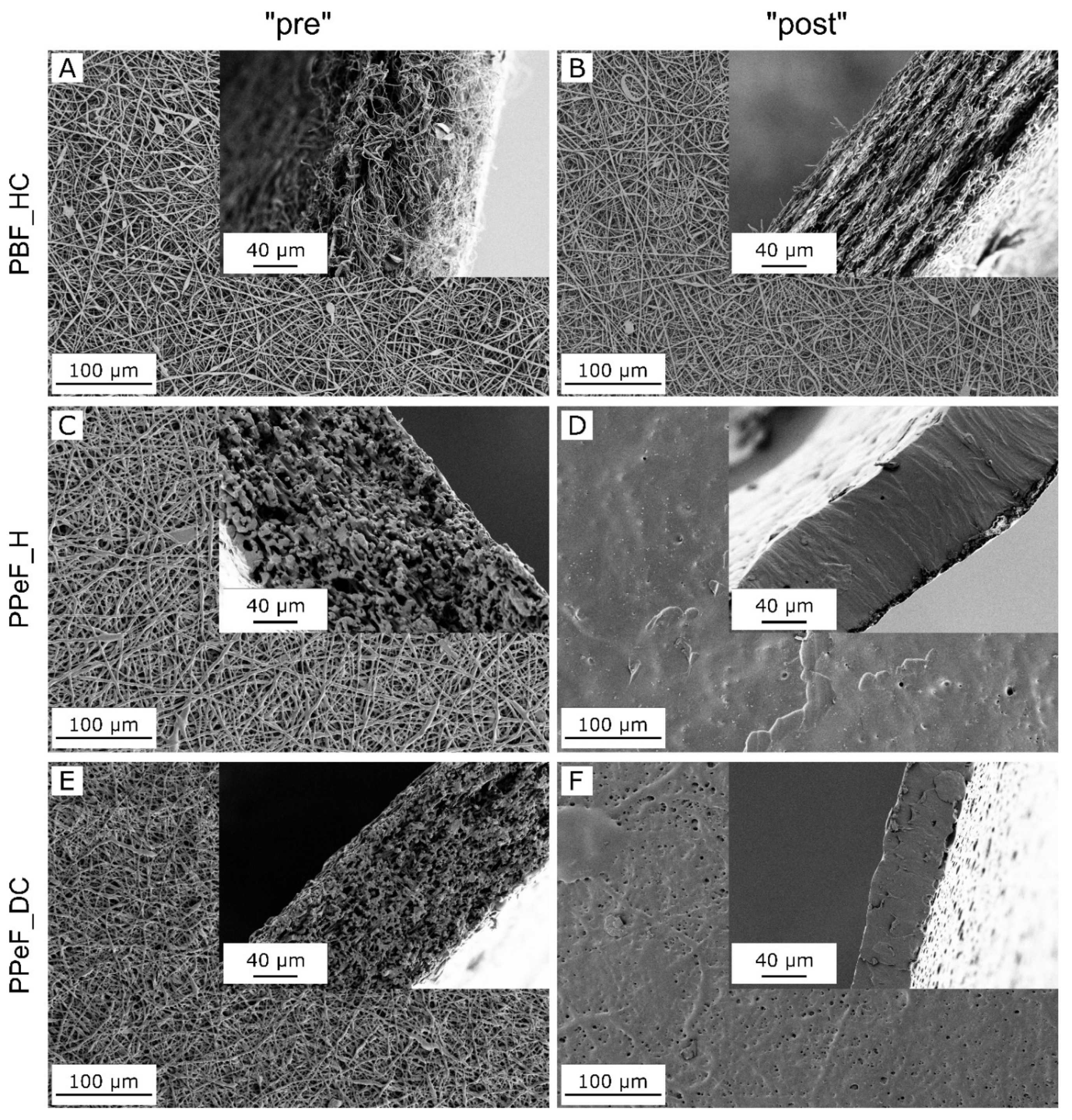 Molecules 30 00841 g001 Molecules 30 00841 g001