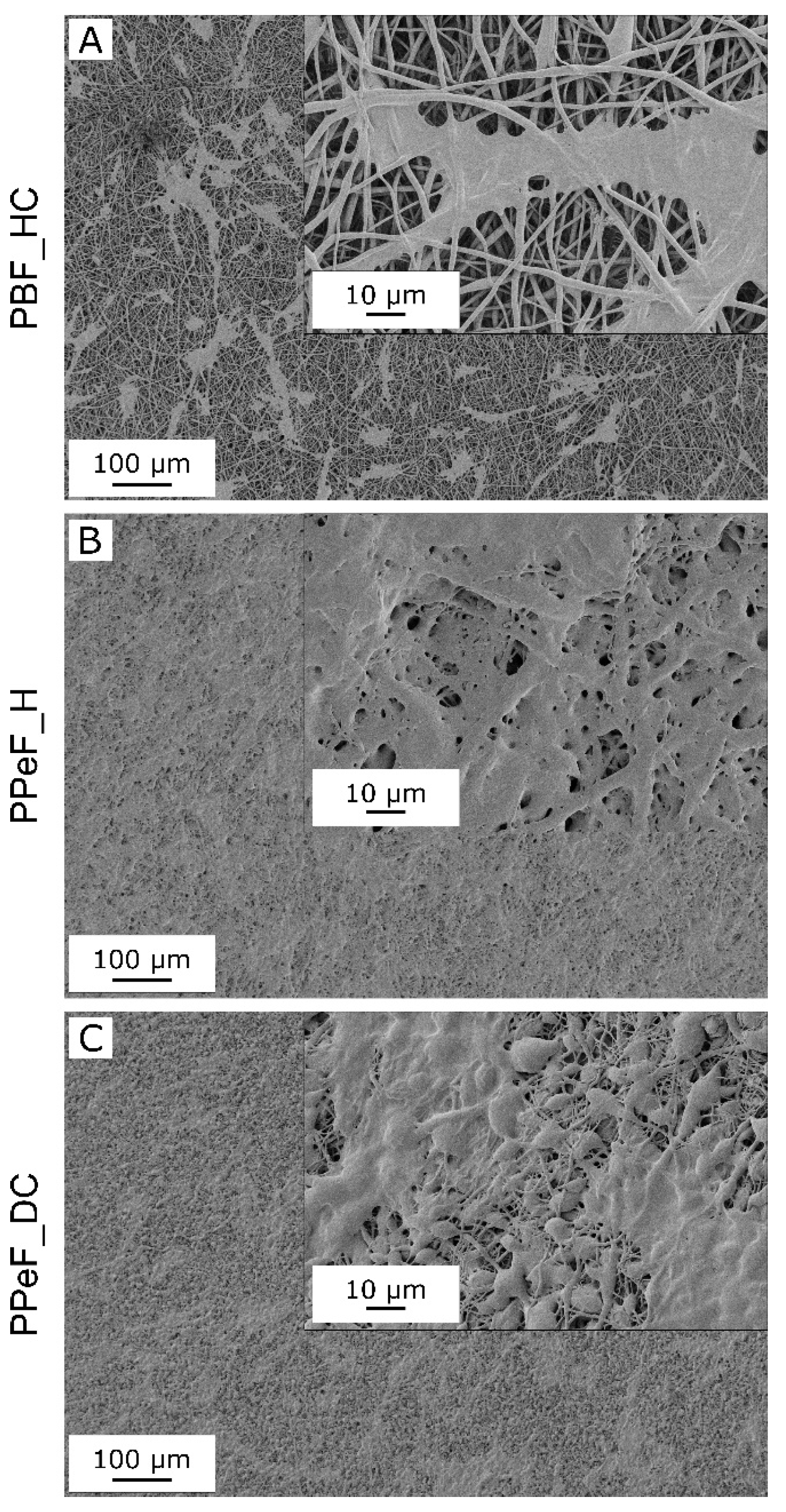 Molecules 30 00841 g005 Molecules 30 00841 g005