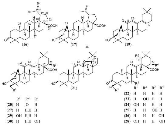 Molecules 30 00851 g005