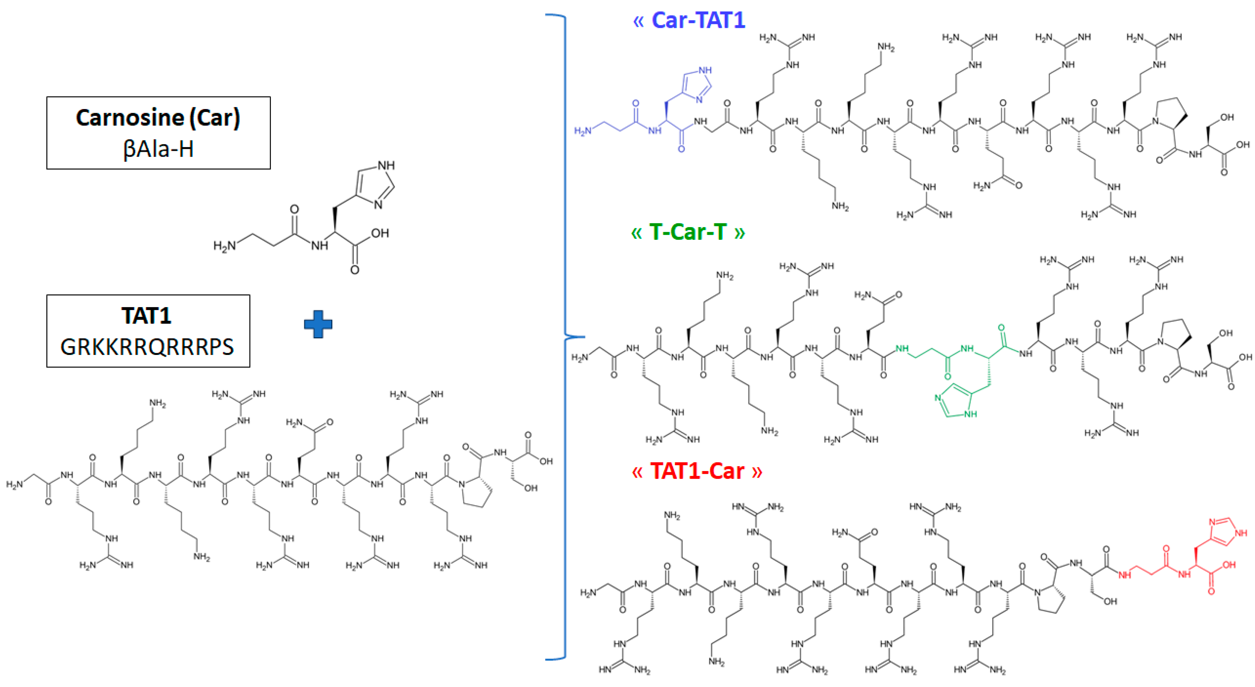 Molecules 30 00853 g001 Molecules 30 00853 g001