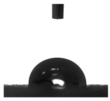 Molecules 30 00857 i001