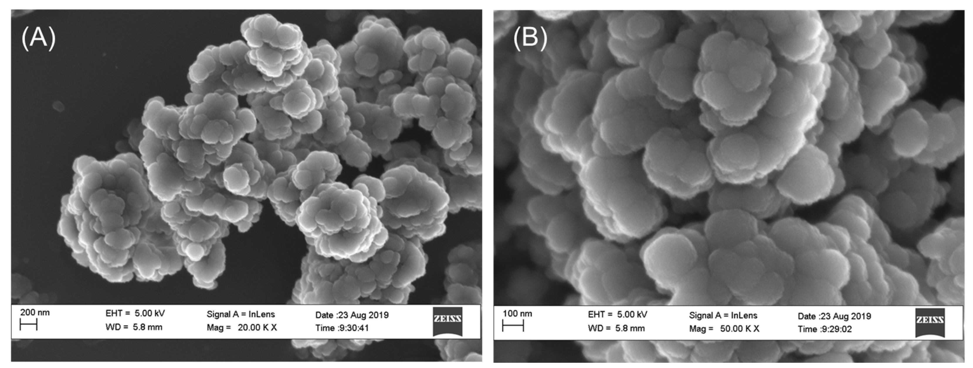 Molecules 30 00858 g001