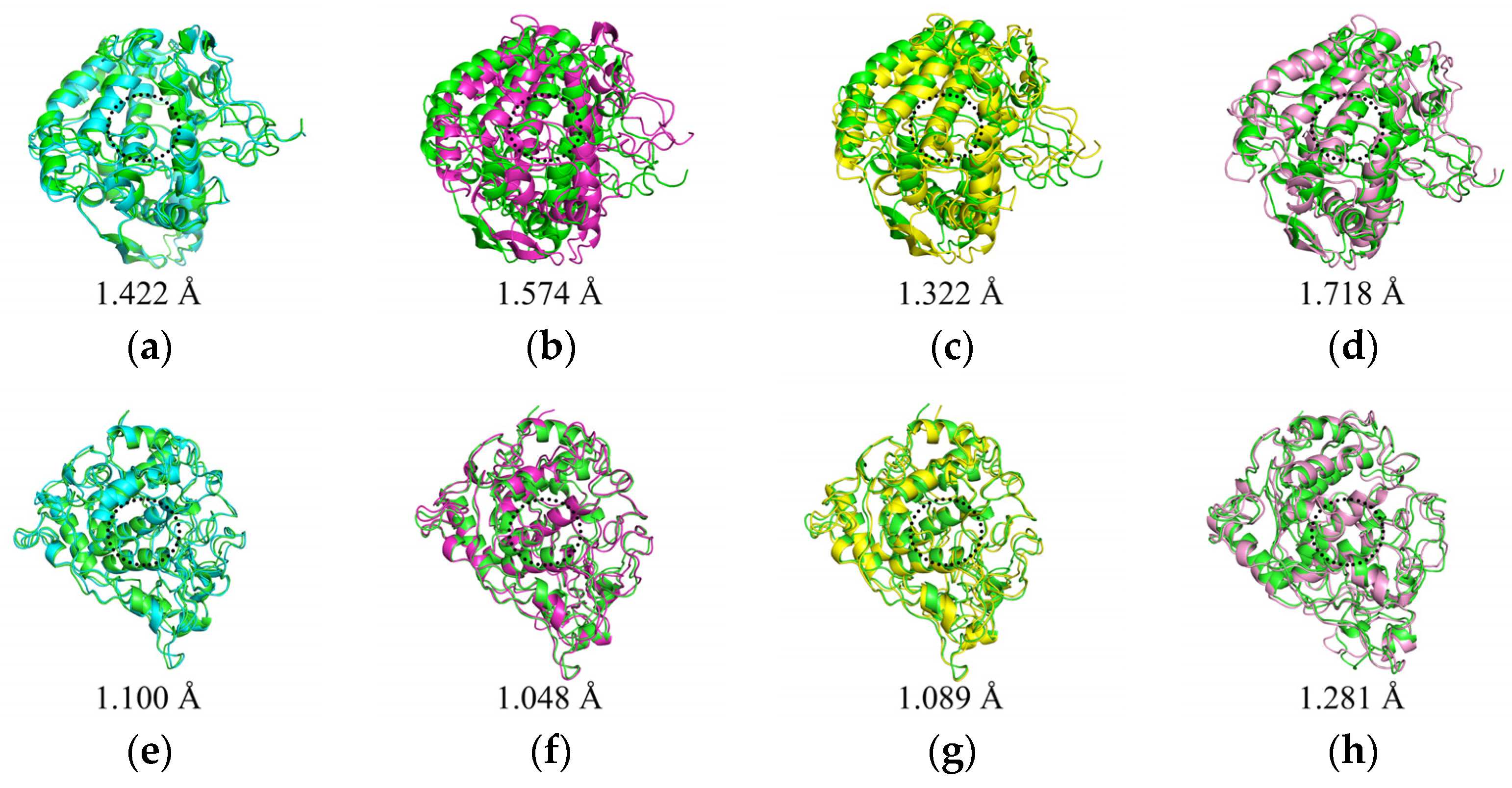 Molecules 30 00860 g010