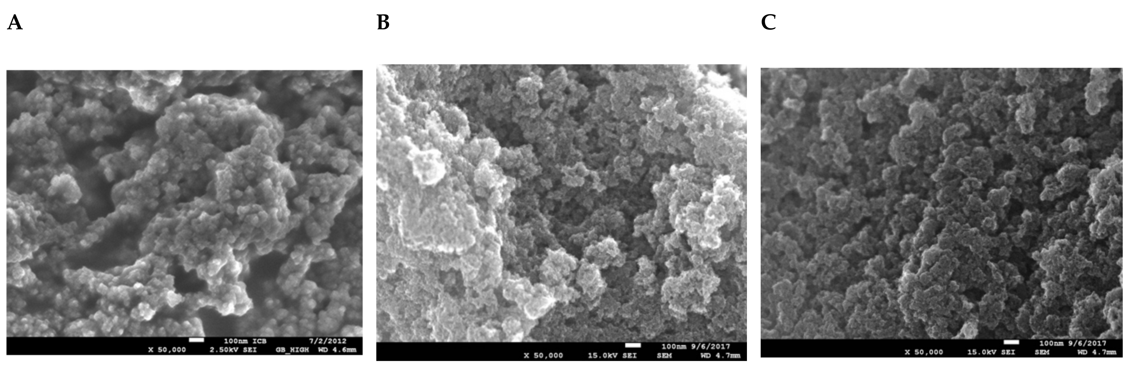 Molecules 30 00864 g004