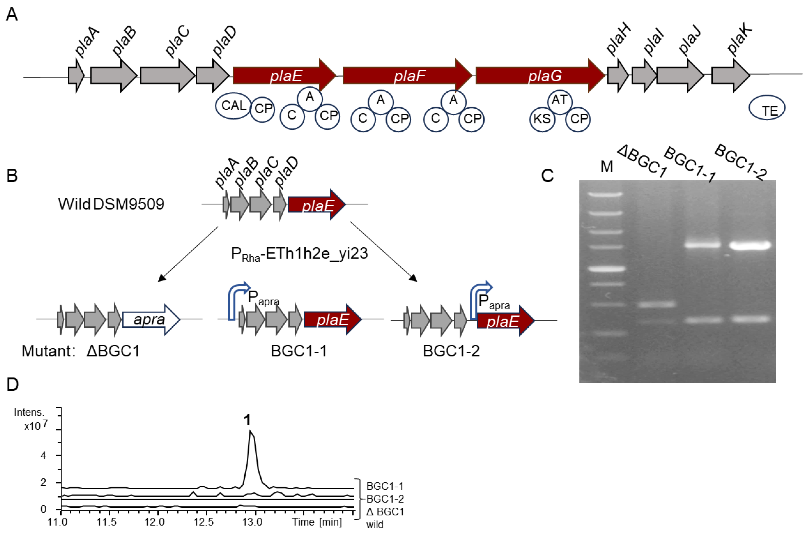 Molecules 30 00868 g001