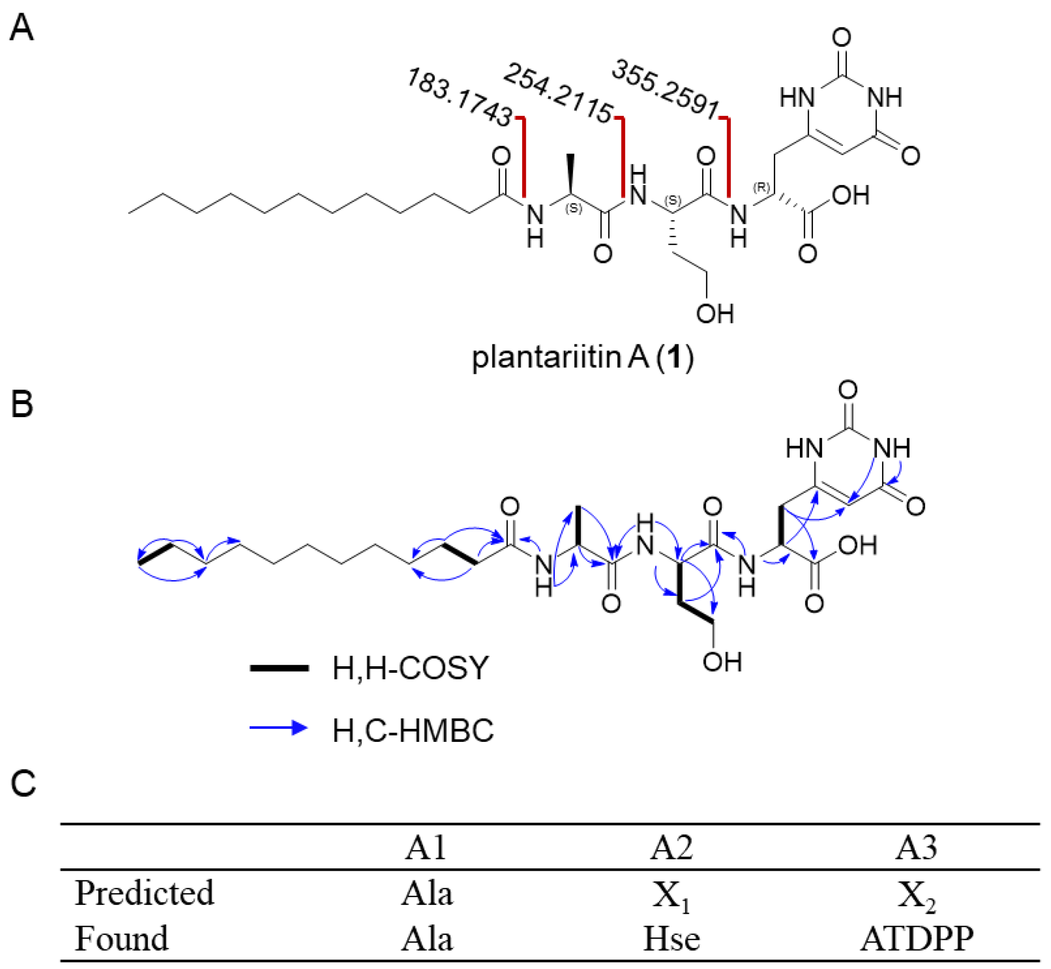 Molecules 30 00868 g002