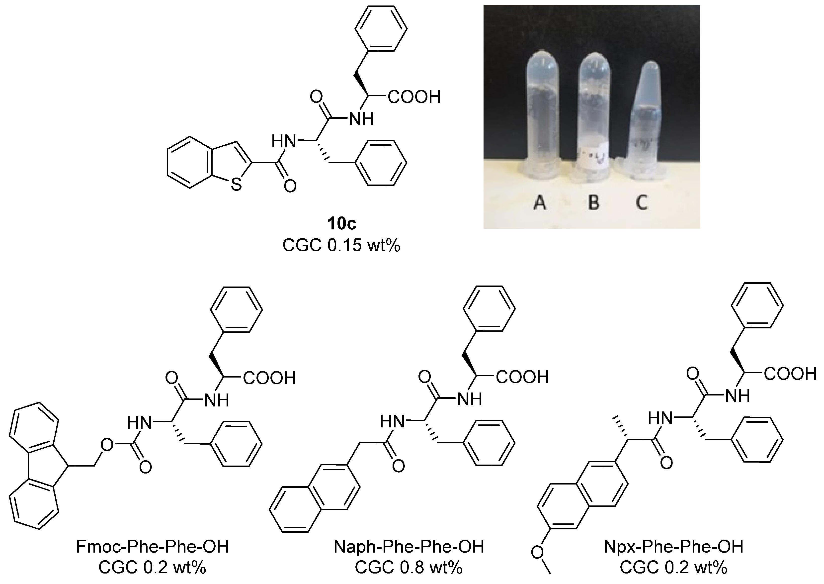Molecules 30 00869 g004