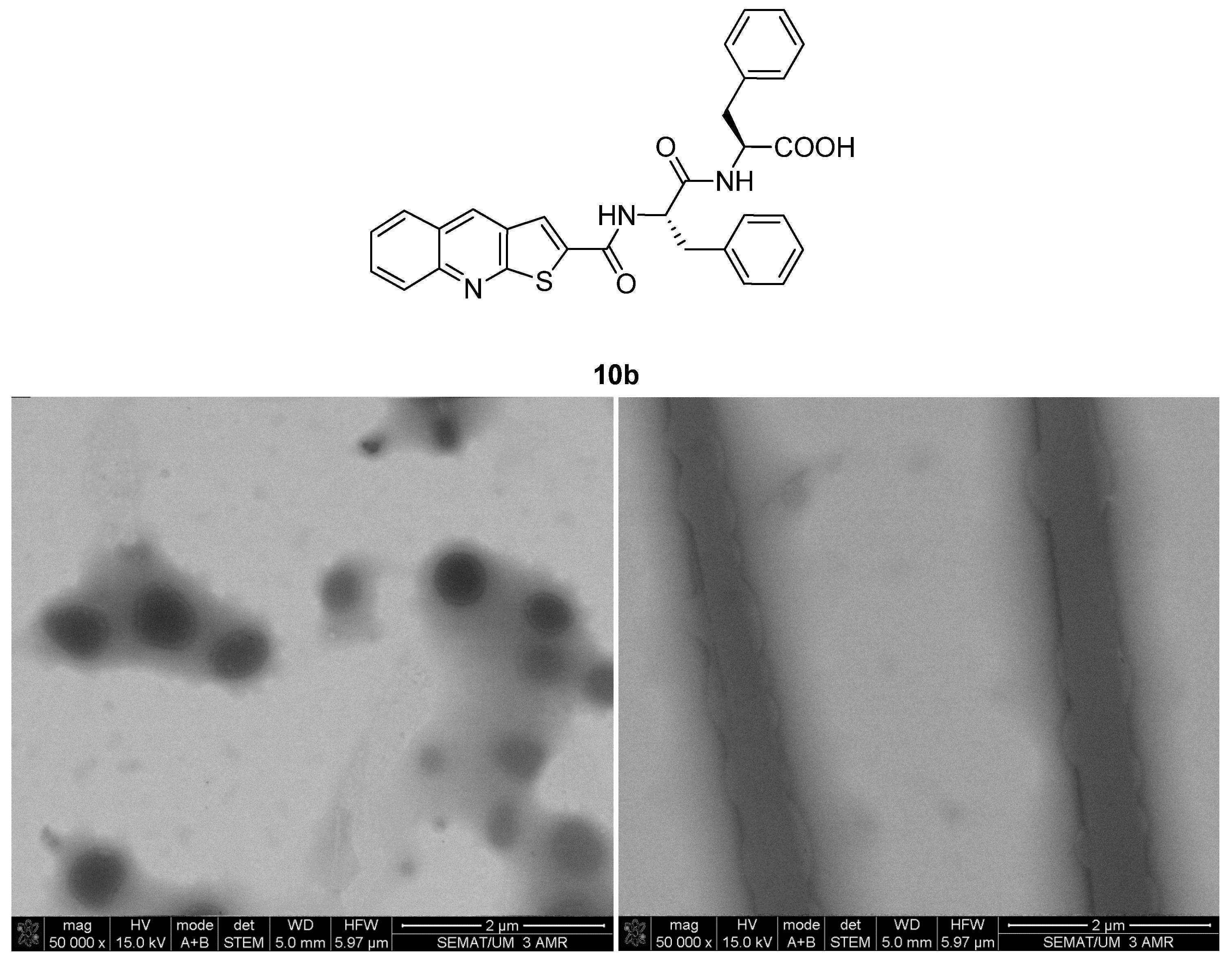 Molecules 30 00869 g006