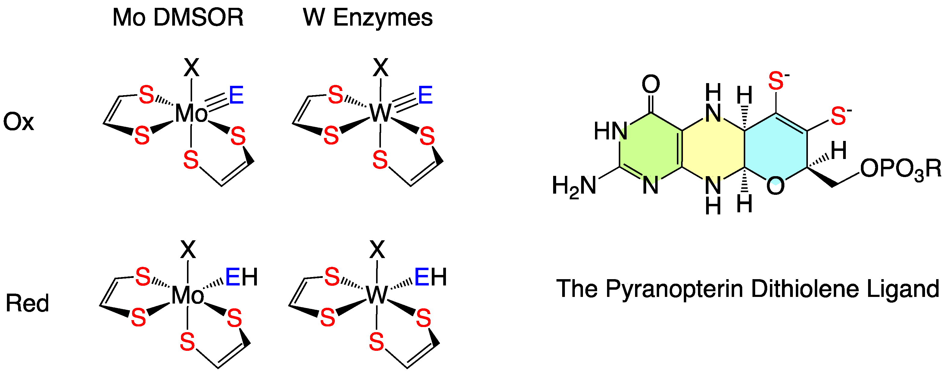 Molecules 30 00871 g001