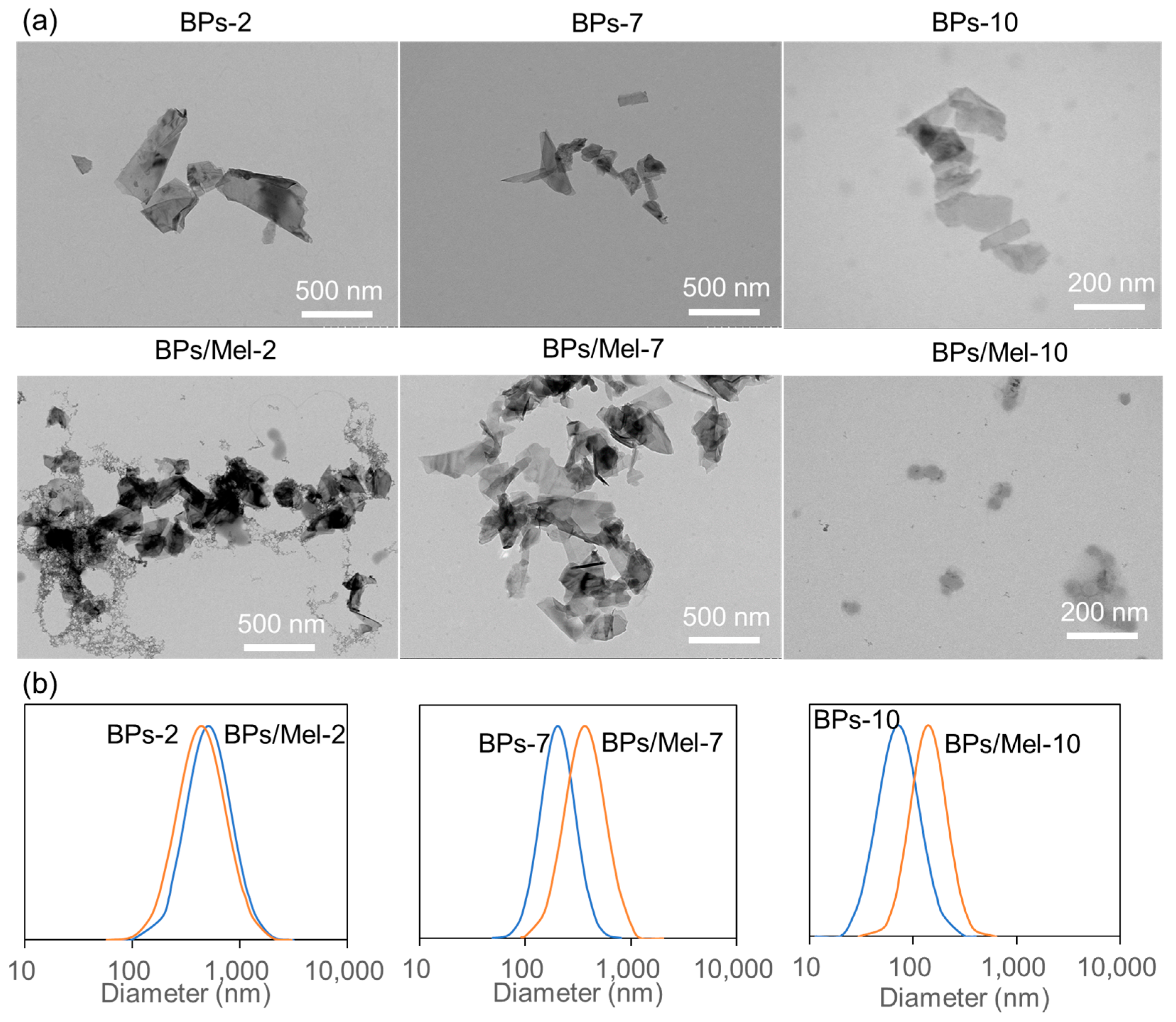 Molecules 30 00872 g001