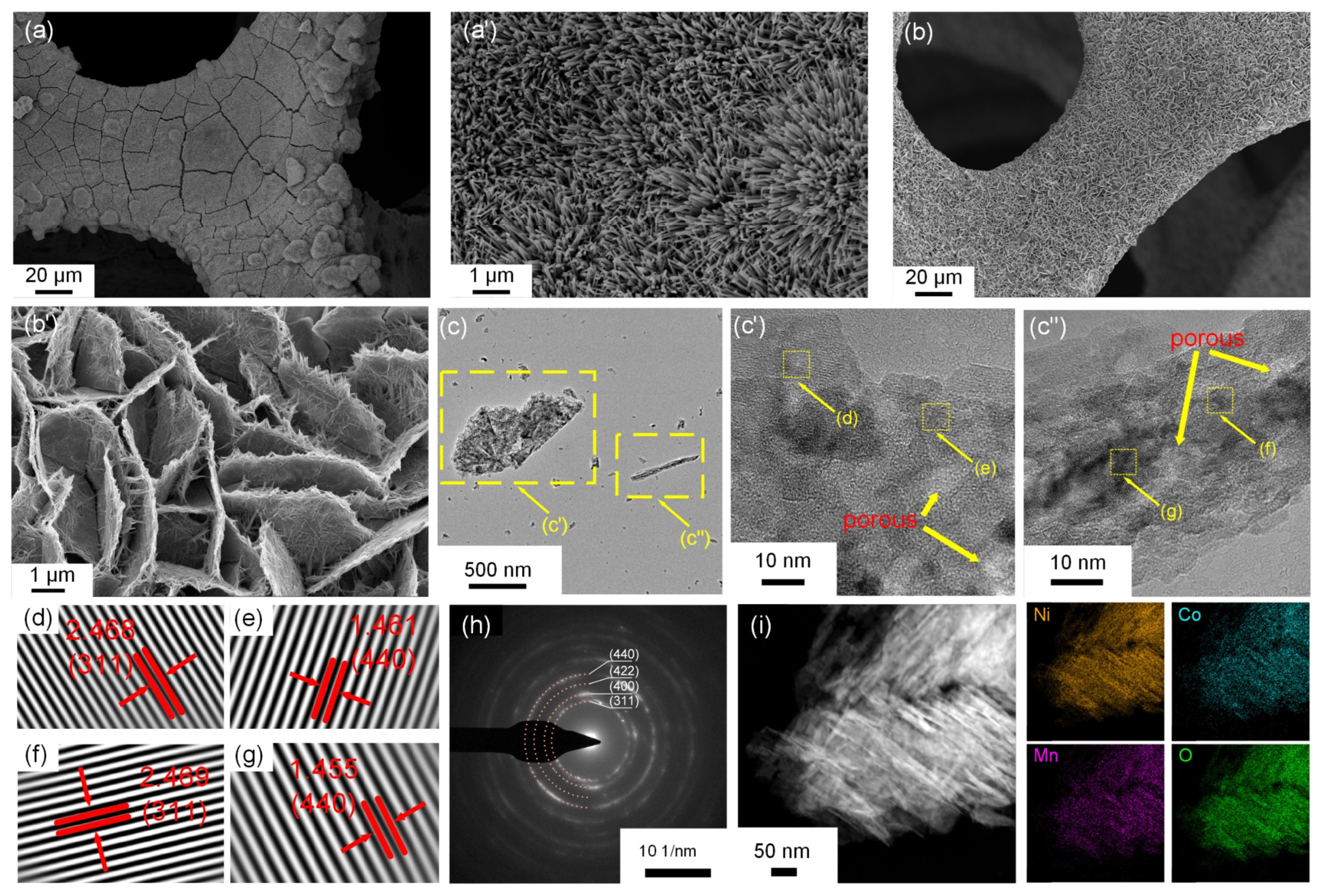 Molecules 30 00873 g002