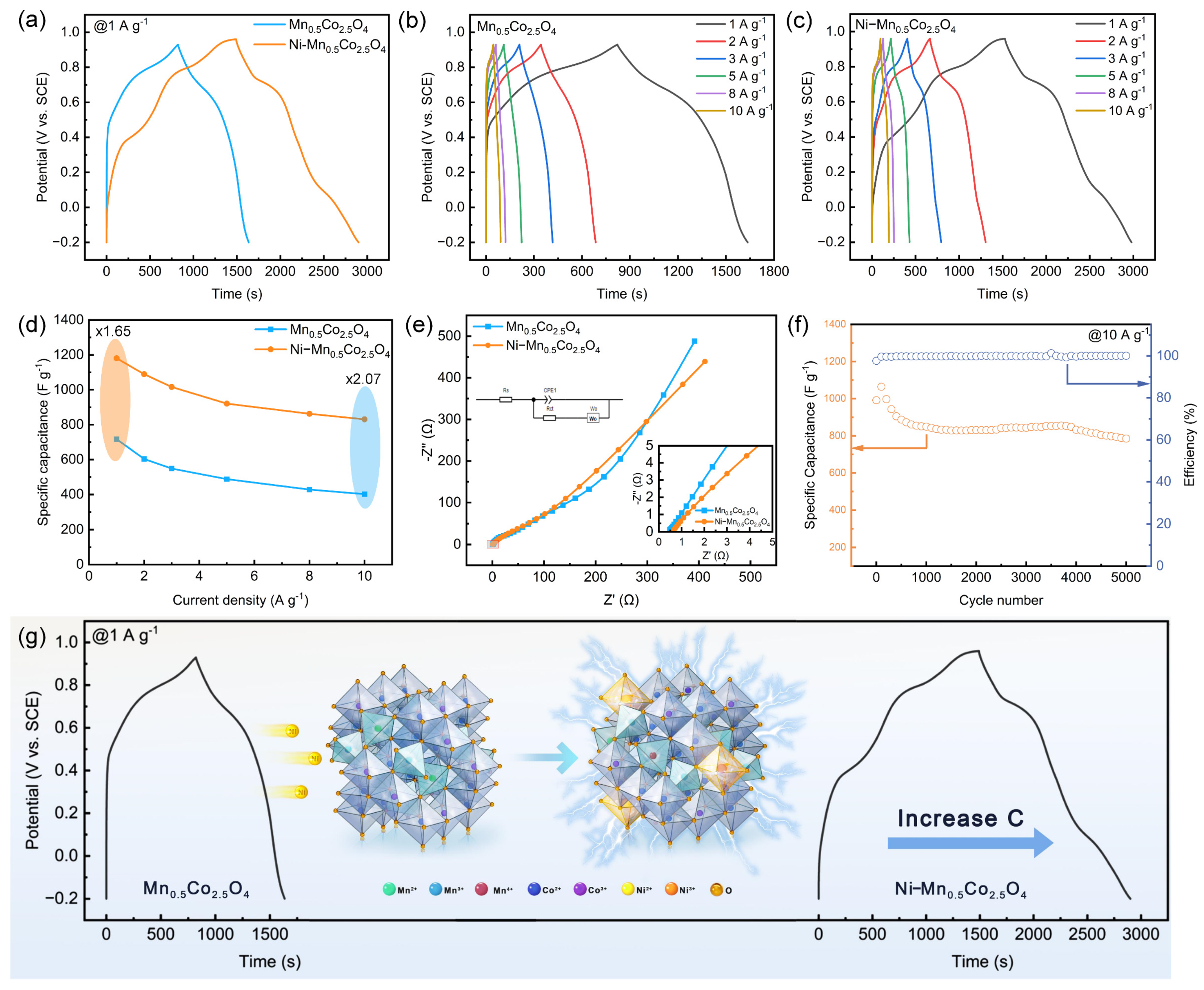Molecules 30 00873 g004
