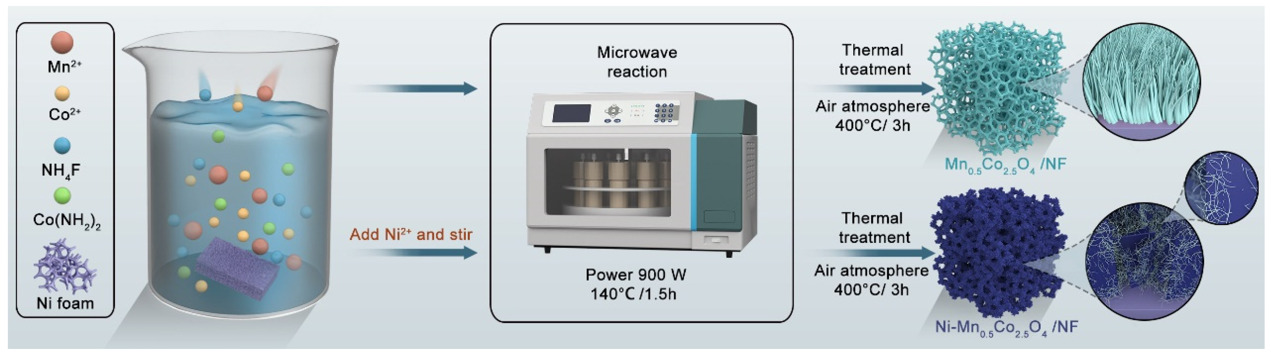 Molecules 30 00873 g006