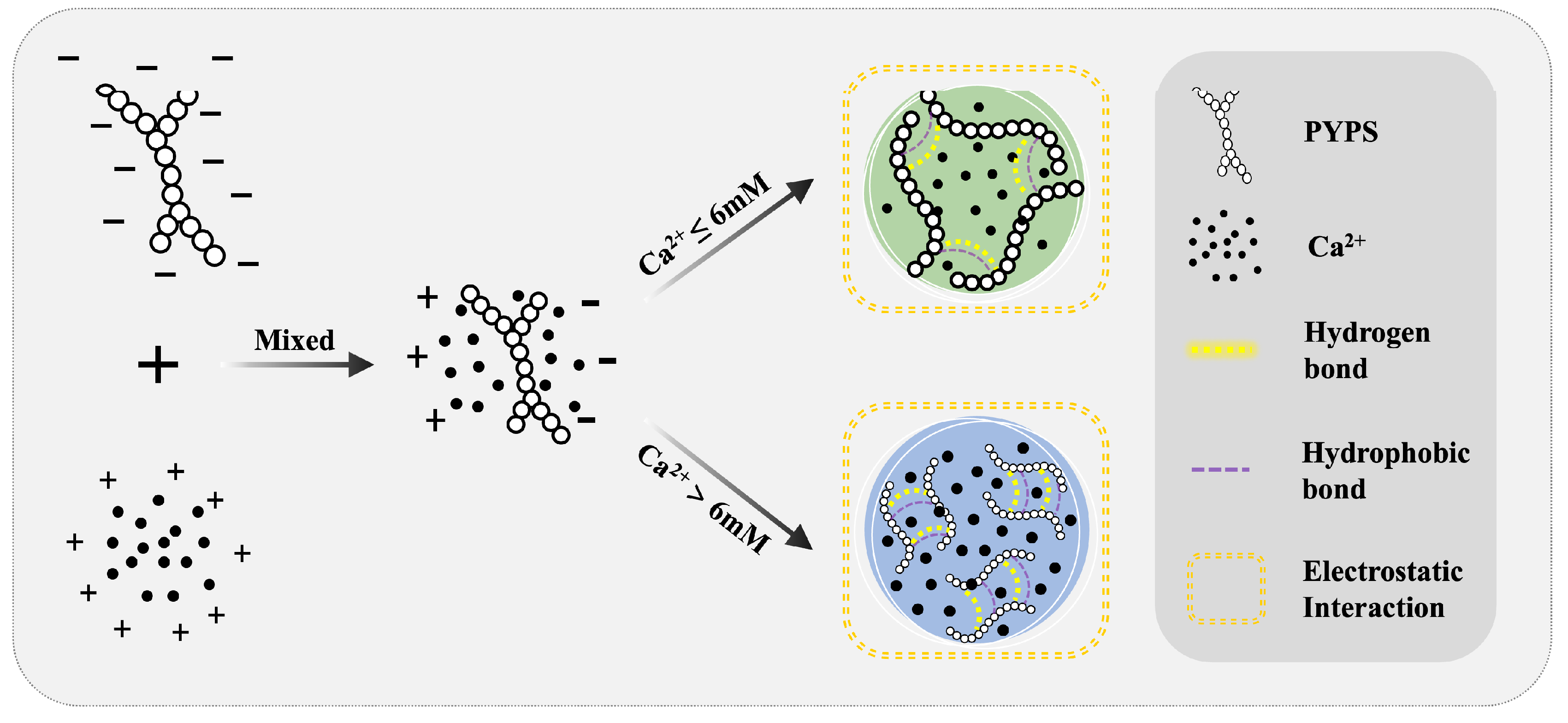Molecules 30 00882 g007