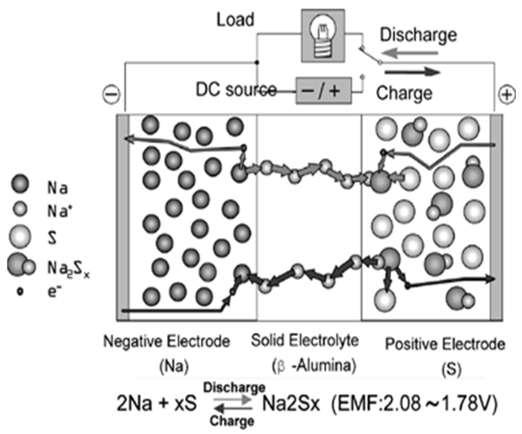 Molecules 30 00883 g013