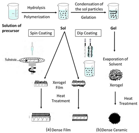 Molecules 30 00883 g019