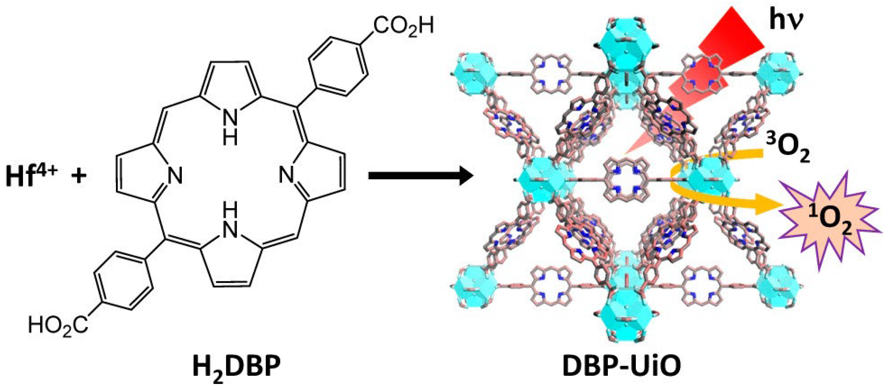 Molecules 30 00884 g001
