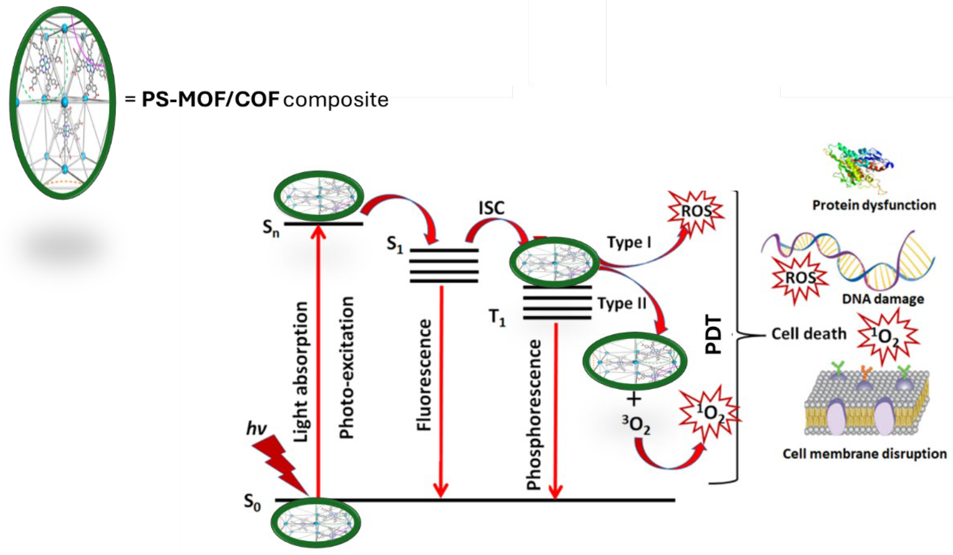 Molecules 30 00884 g004