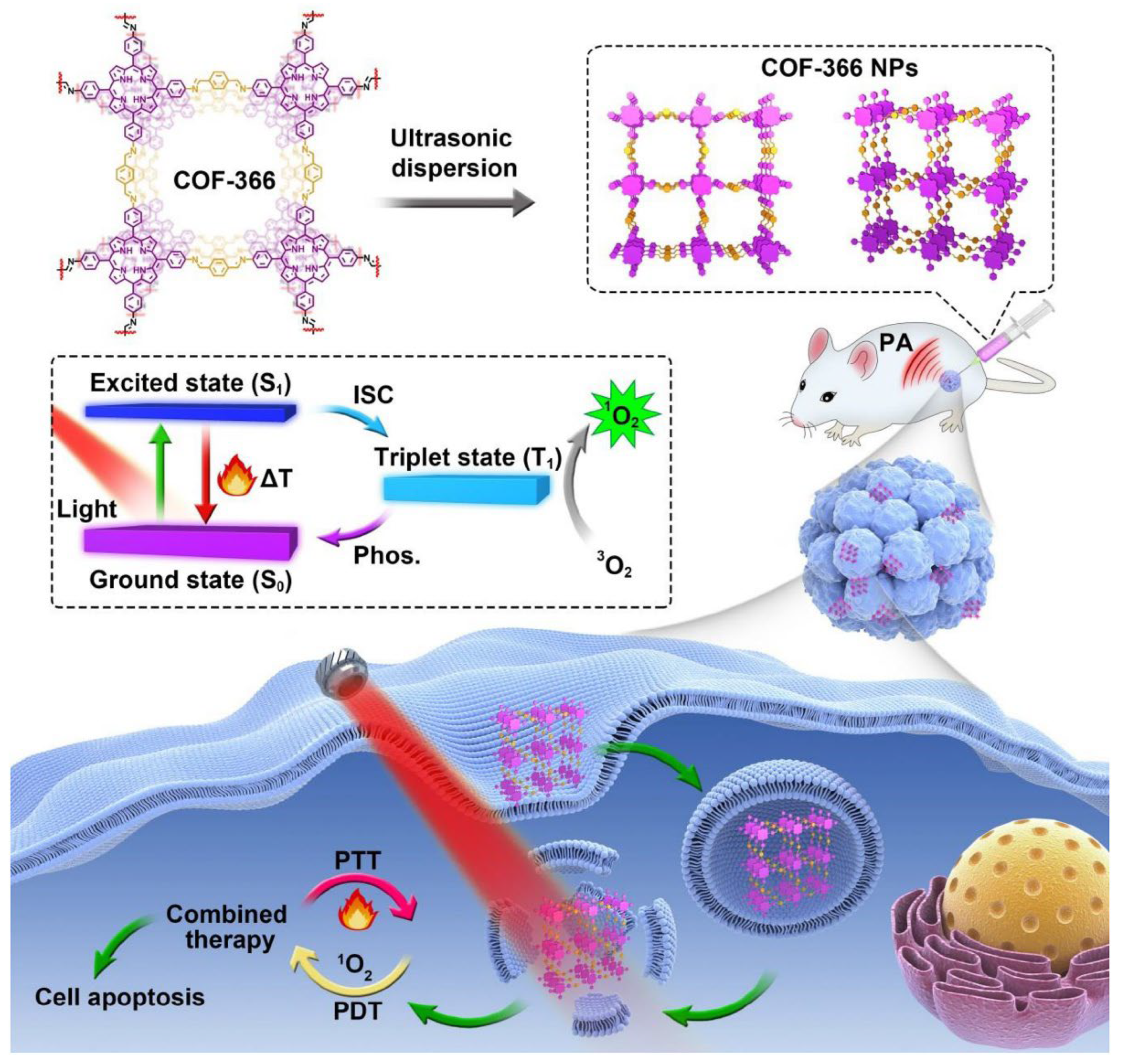 Molecules 30 00884 g005