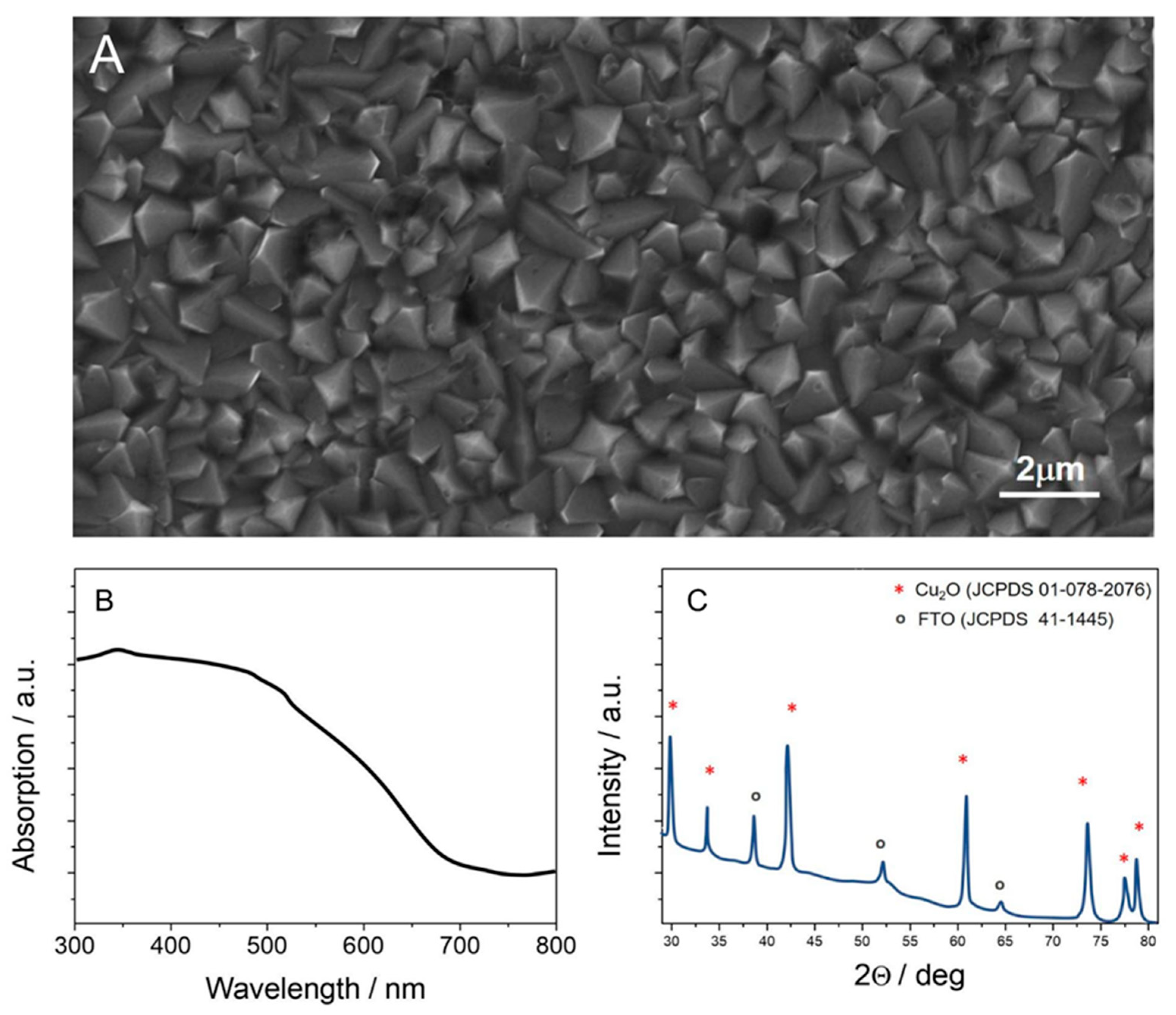 Molecules 30 00885 g001
