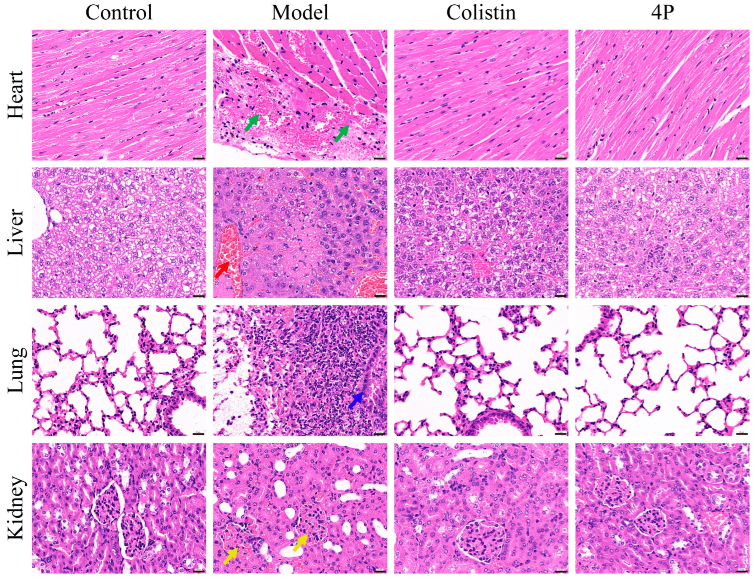 Molecules 30 00887 g006