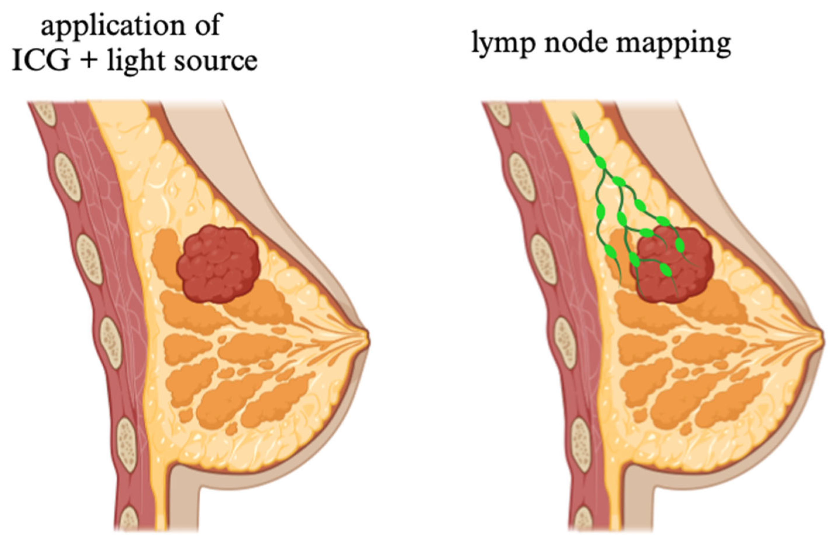 Molecules 30 00888 g004