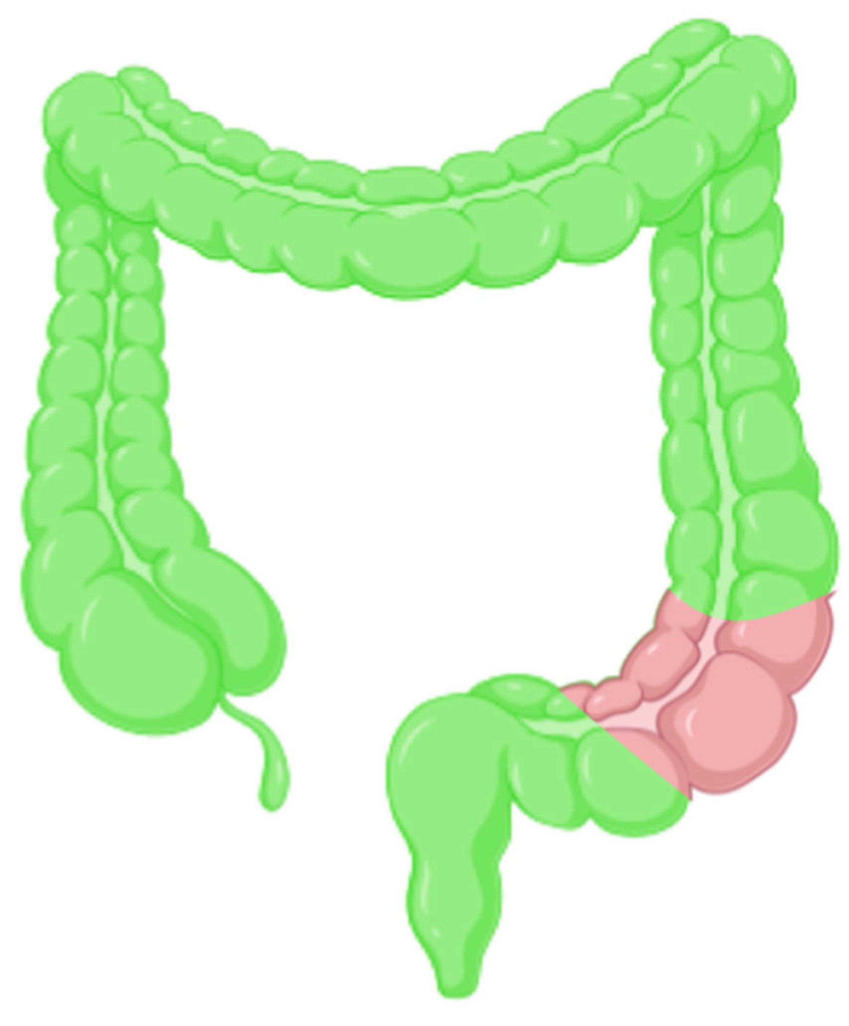 Molecules 30 00888 g005