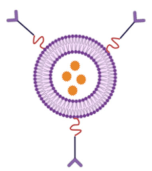 Molecules 30 00888 i001