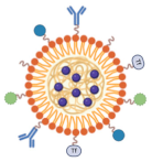 Molecules 30 00888 i002