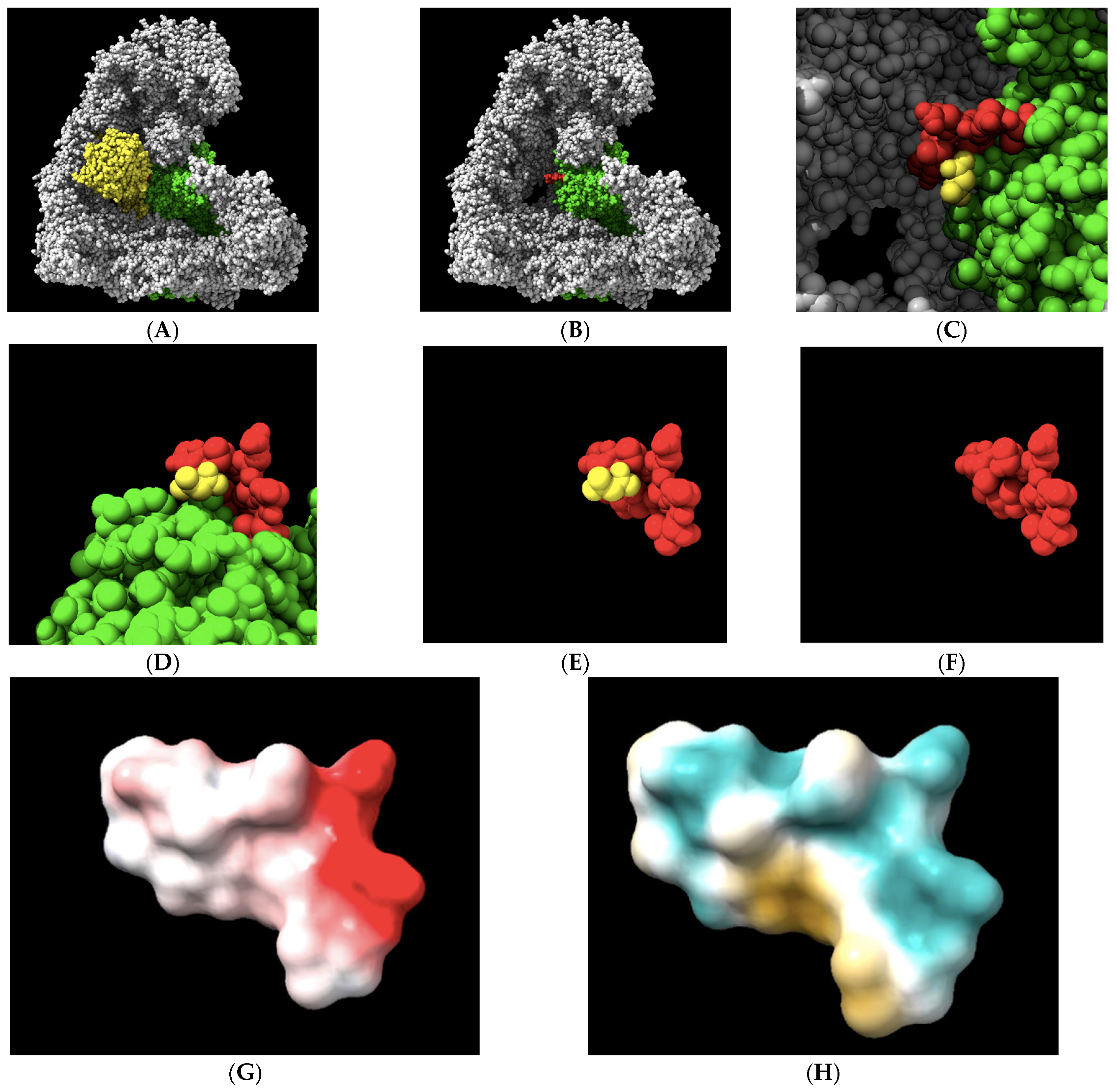 Molecules 30 00895 g002