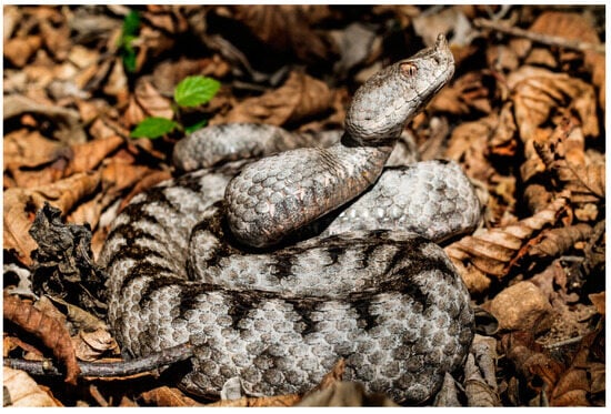 Molecules 30 00903 g001