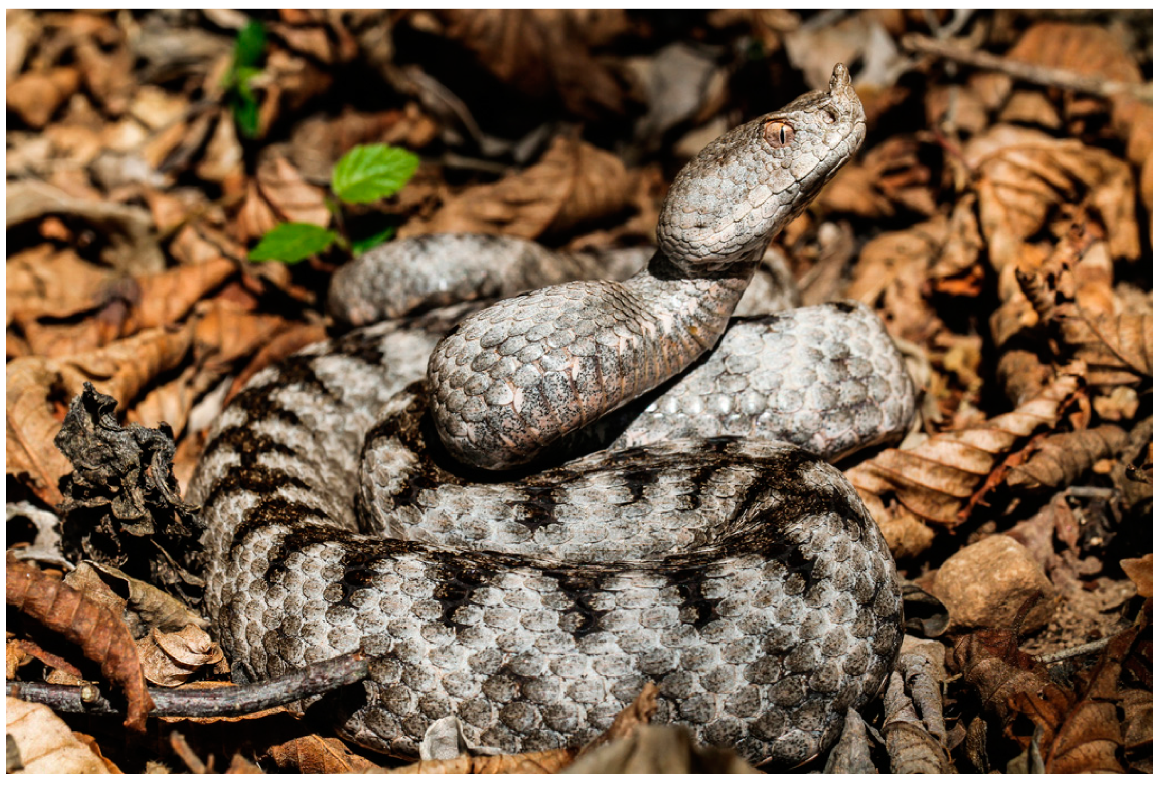 Molecules 30 00903 g001