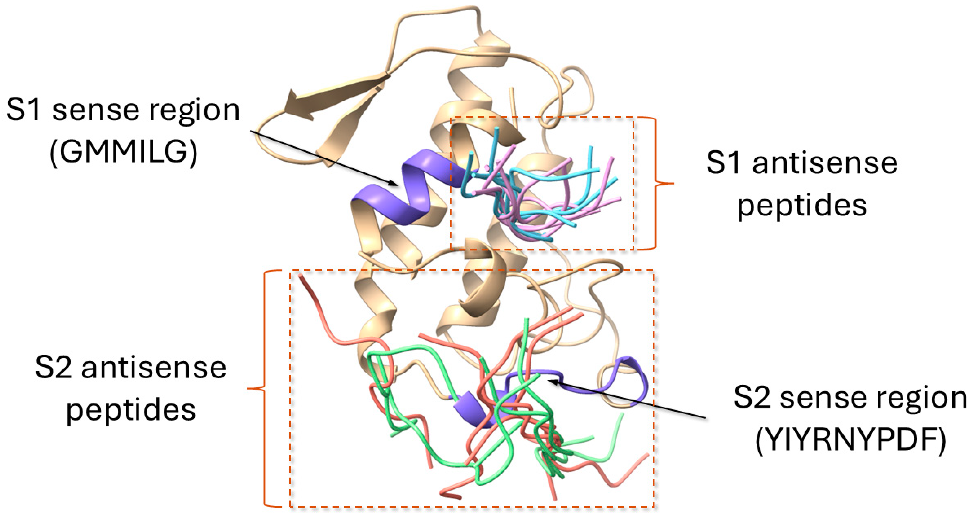 Molecules 30 00903 g009