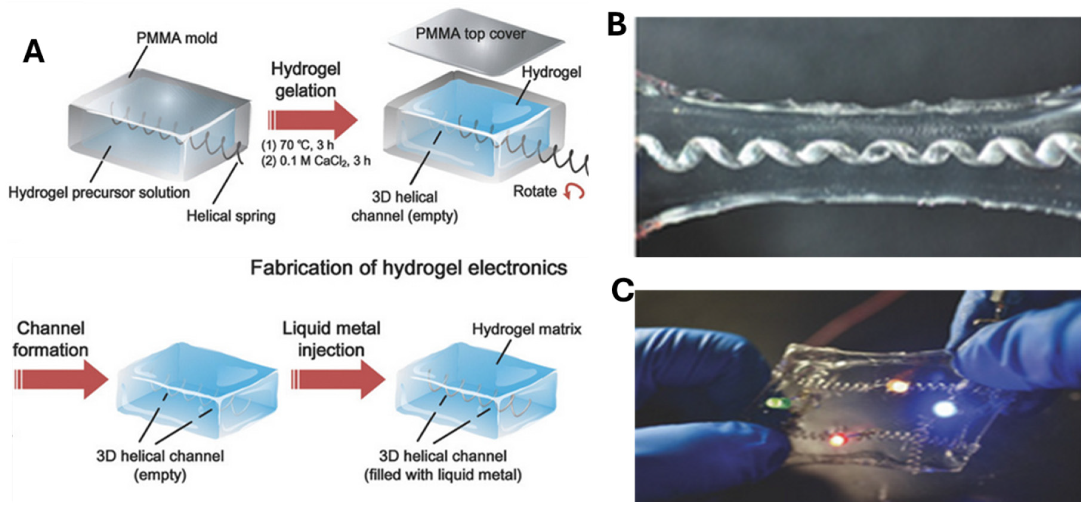 Molecules 30 00905 g002