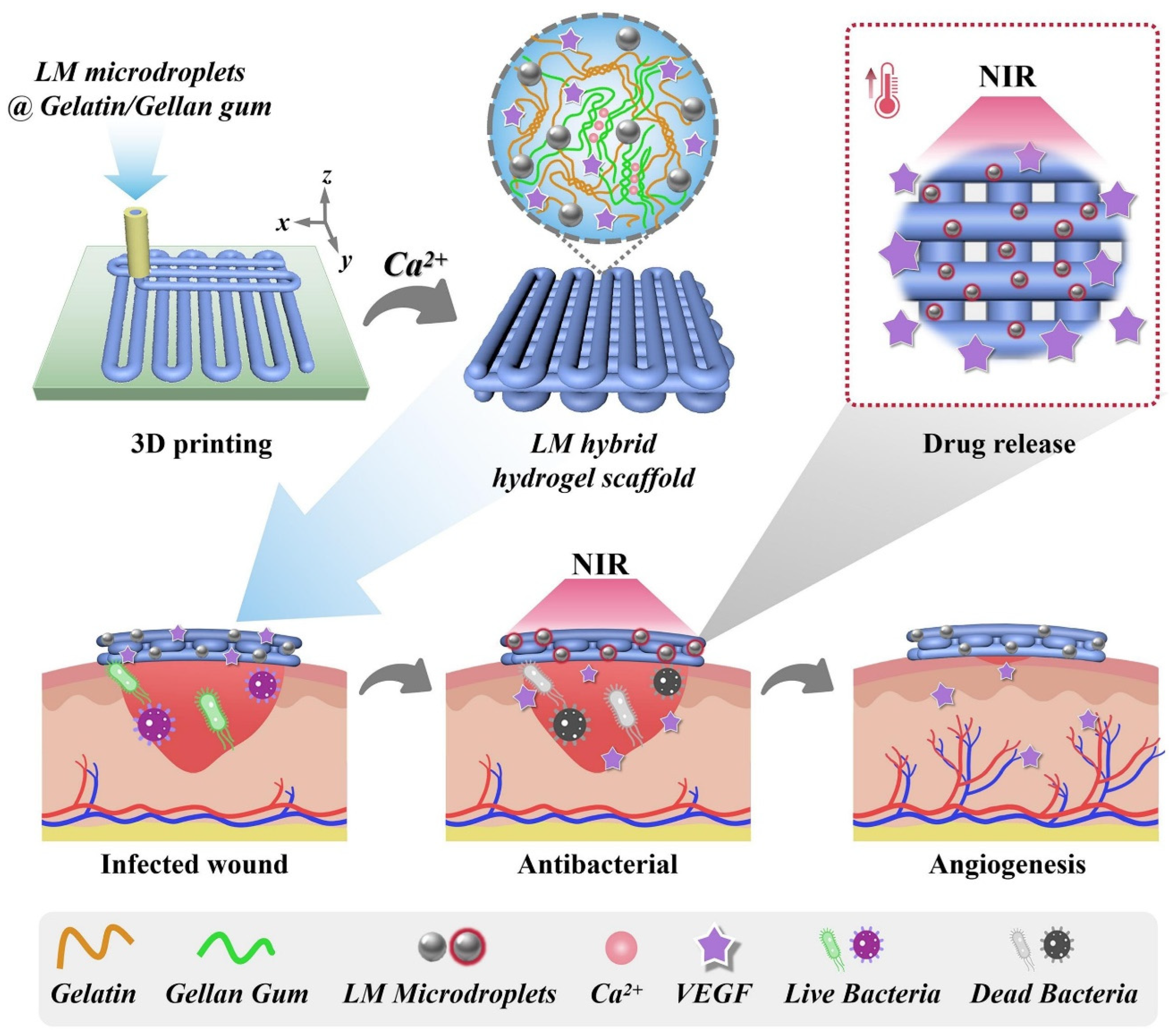 Molecules 30 00905 g004