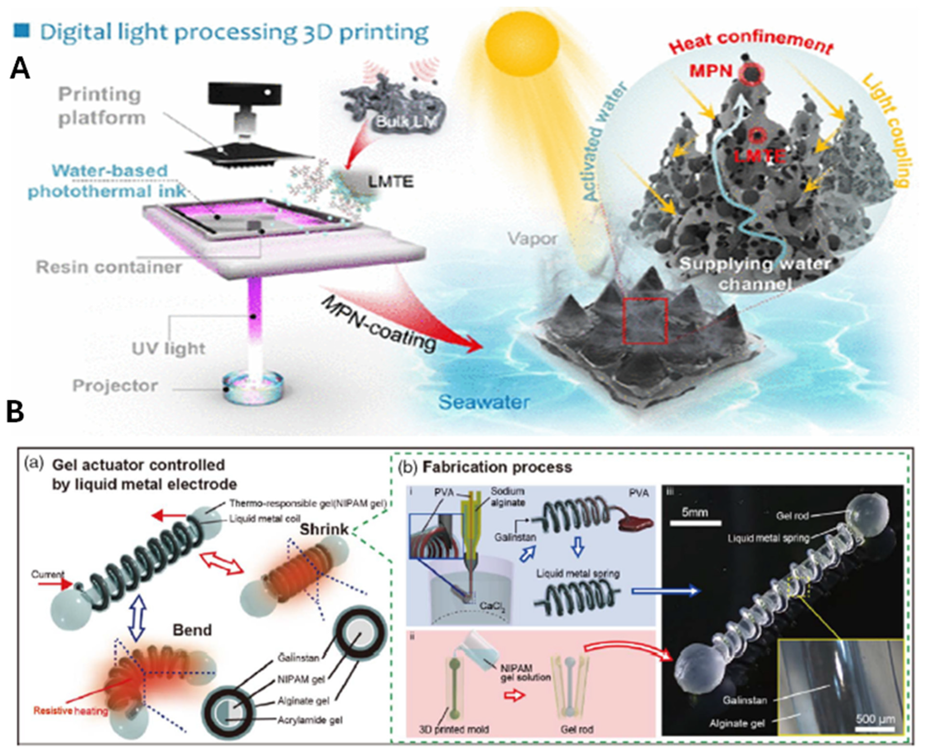 Molecules 30 00905 g005