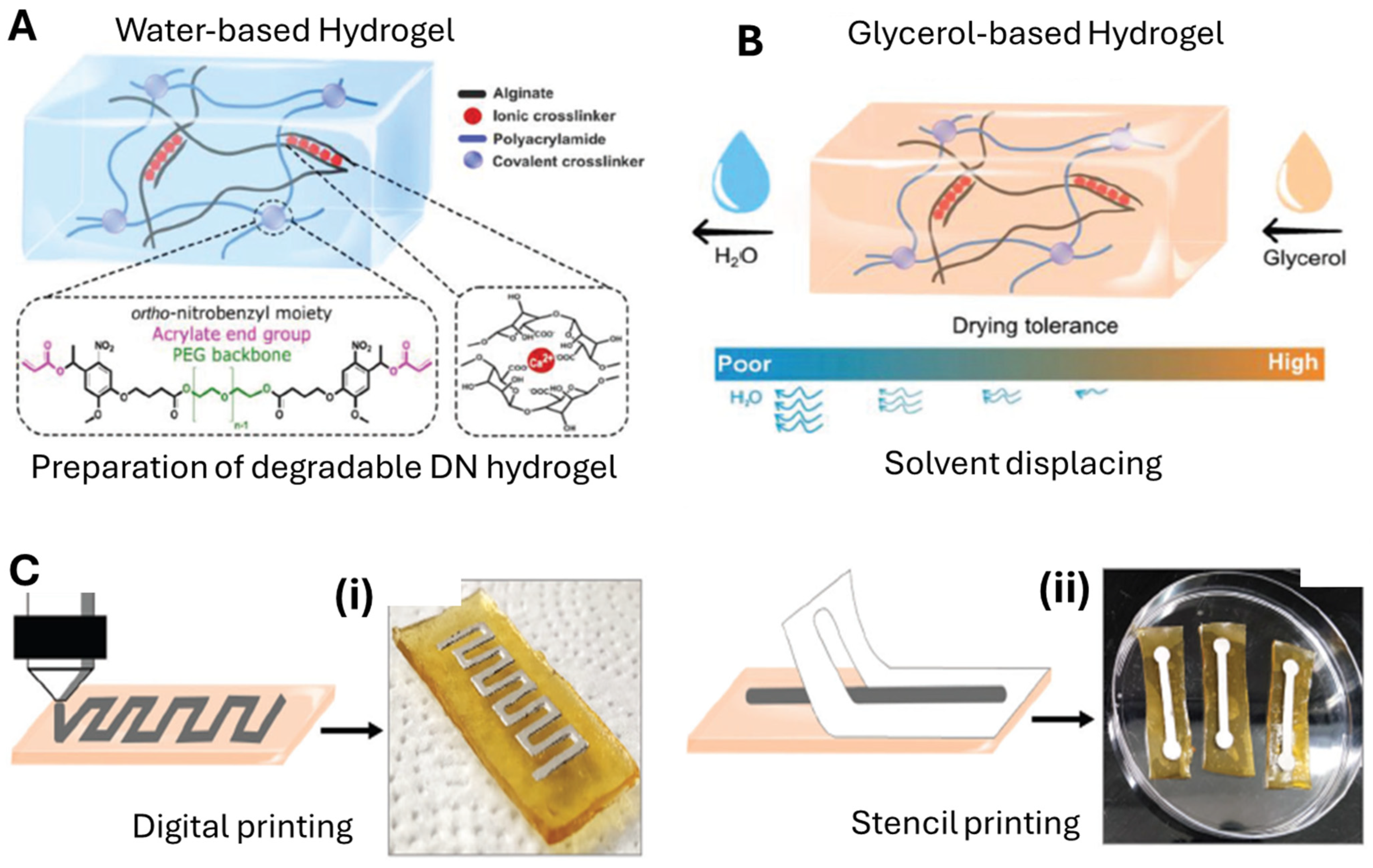 Molecules 30 00905 g006