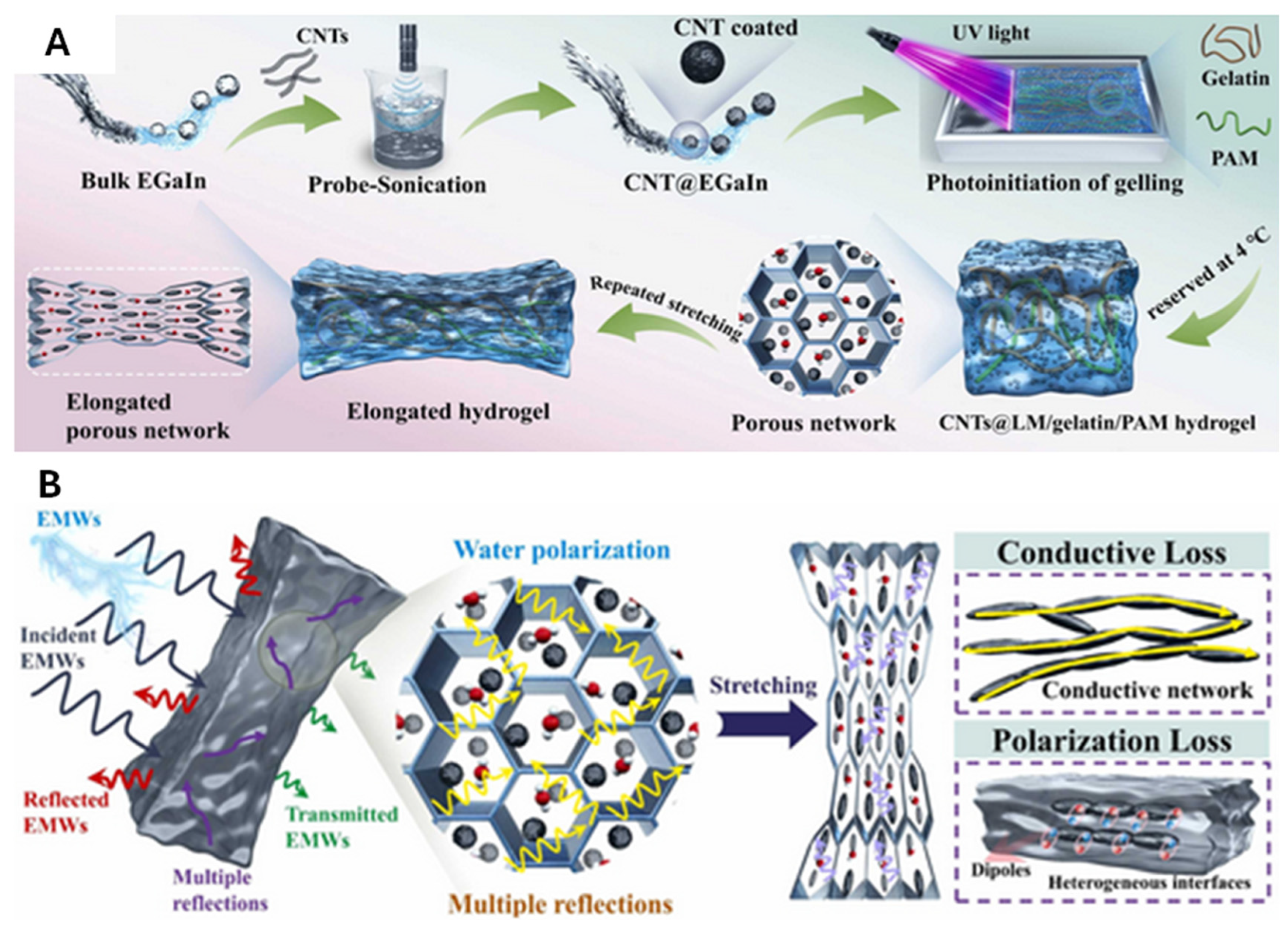 Molecules 30 00905 g007a