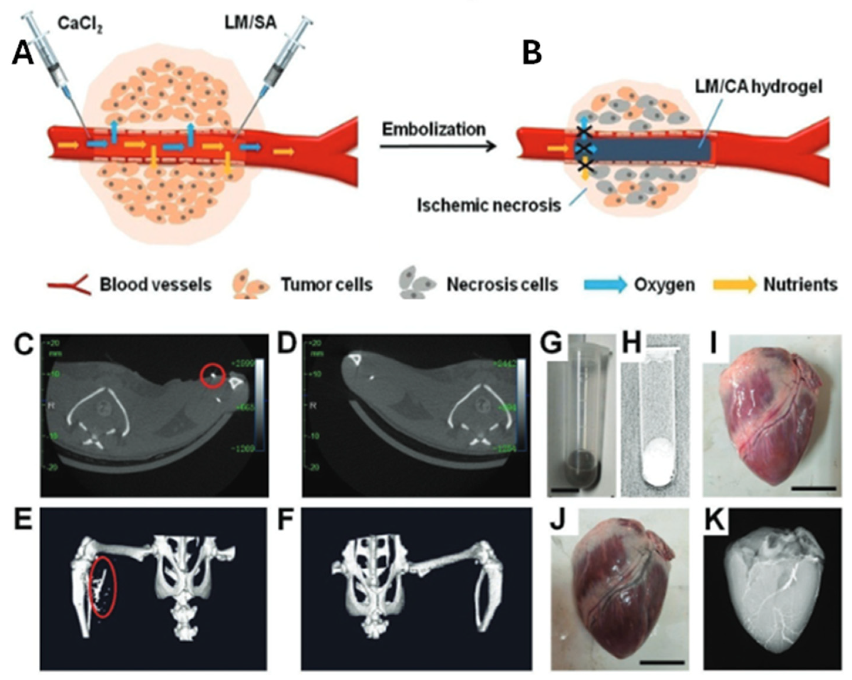 Molecules 30 00905 g010