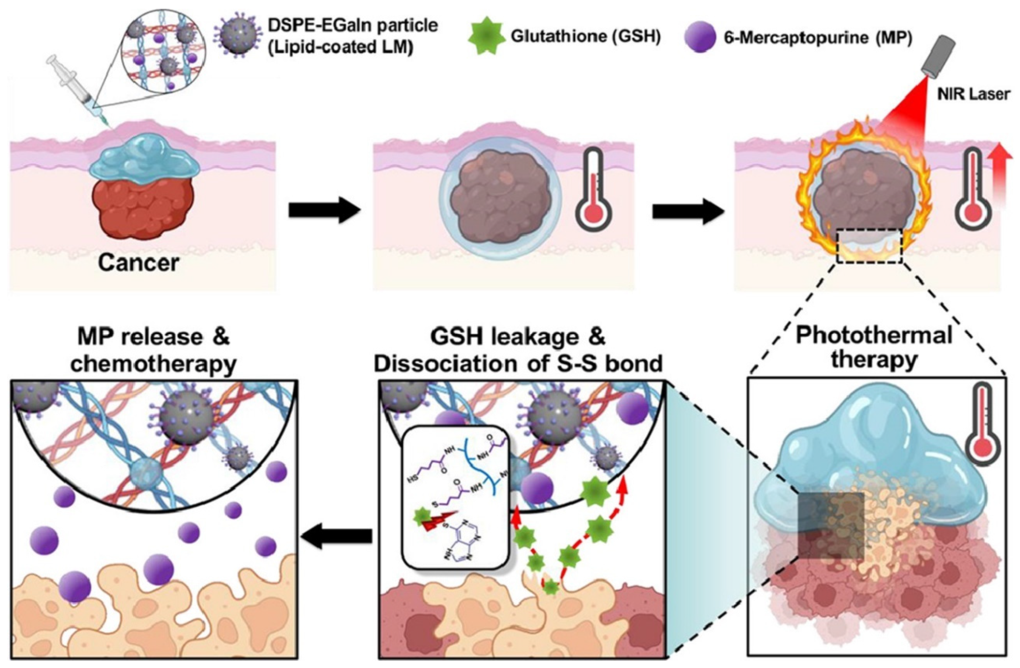 Molecules 30 00905 g011