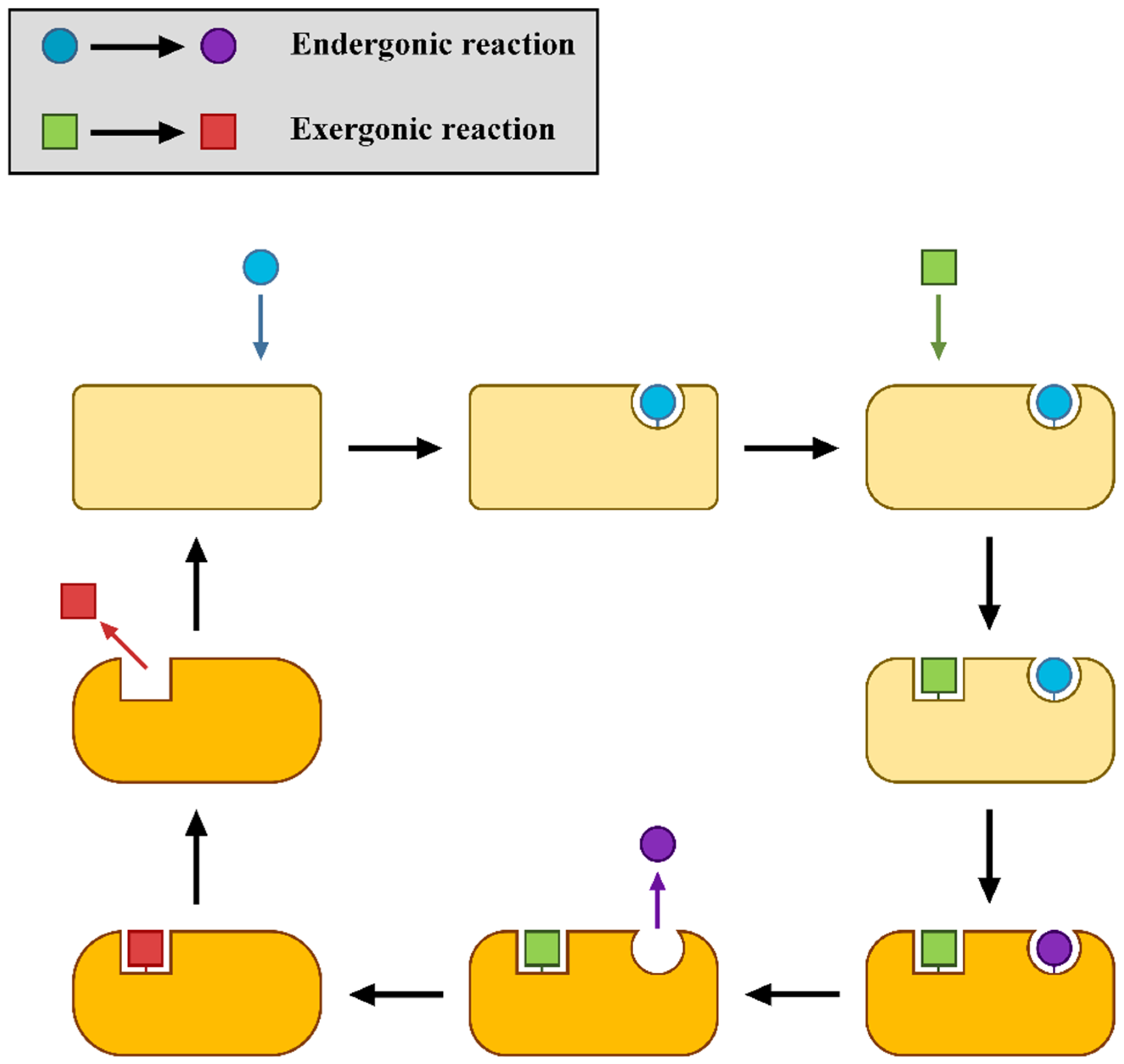 Molecules 30 00911 g001