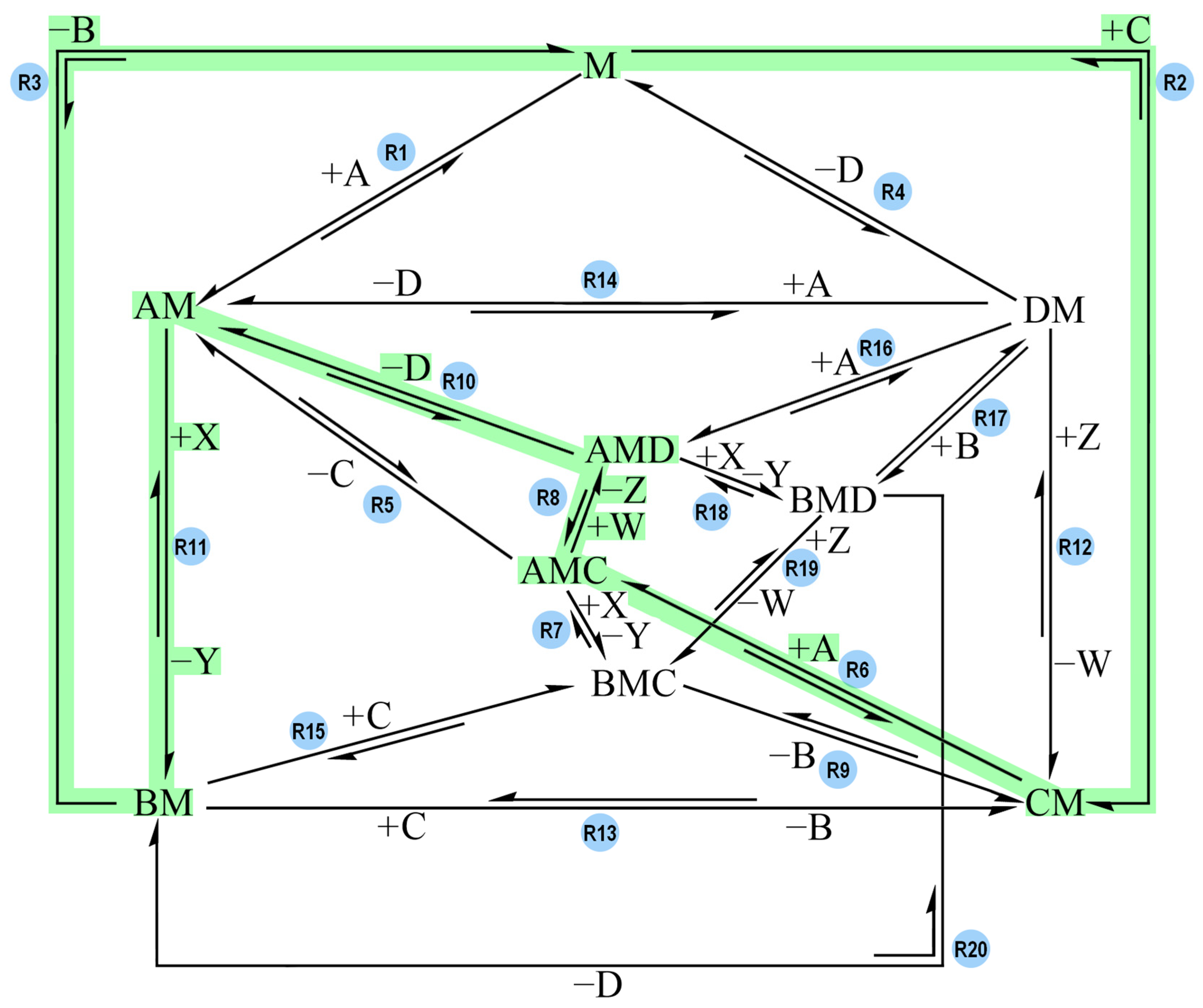 Molecules 30 00911 g006