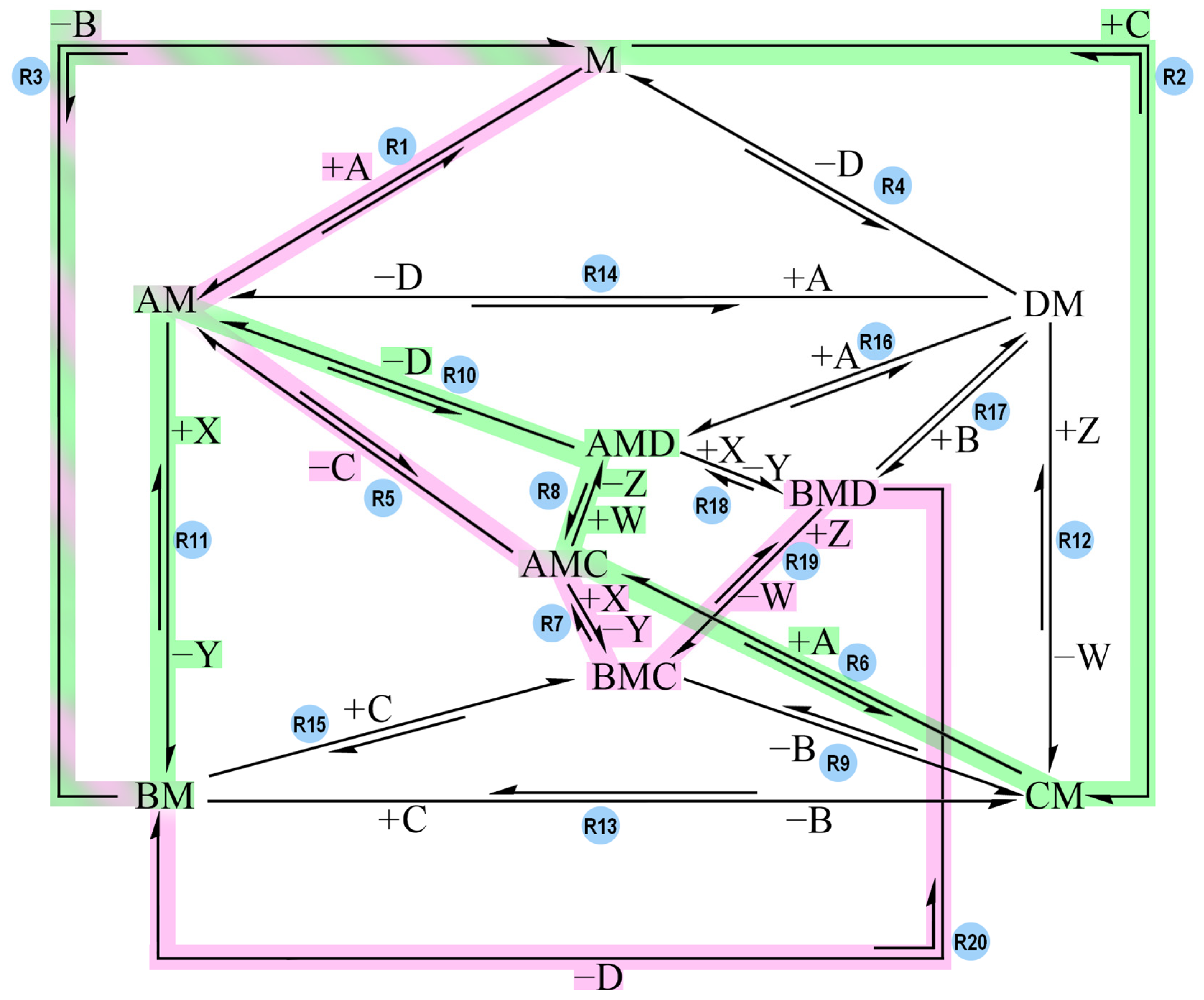 Molecules 30 00911 g010