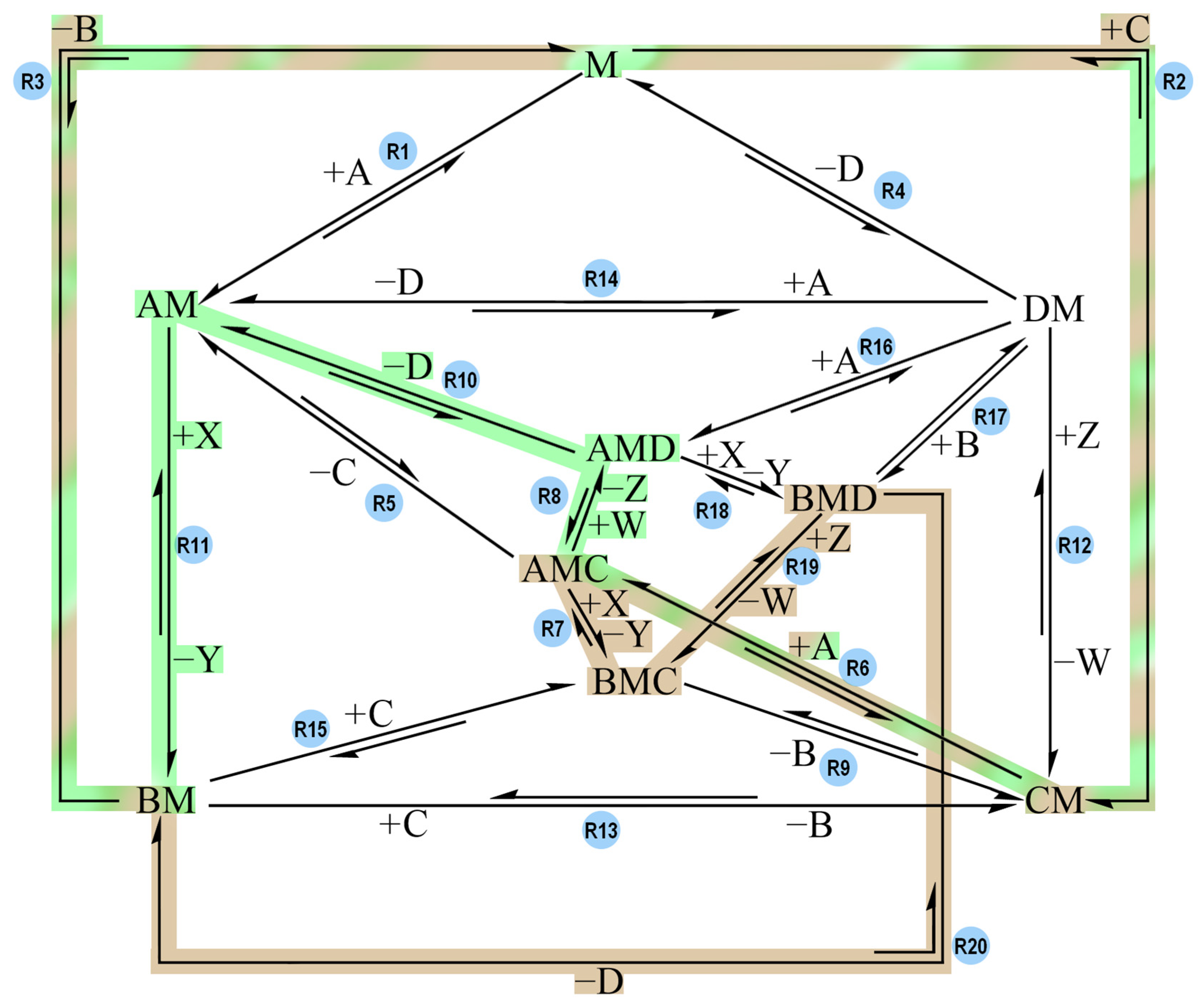 Molecules 30 00911 g012