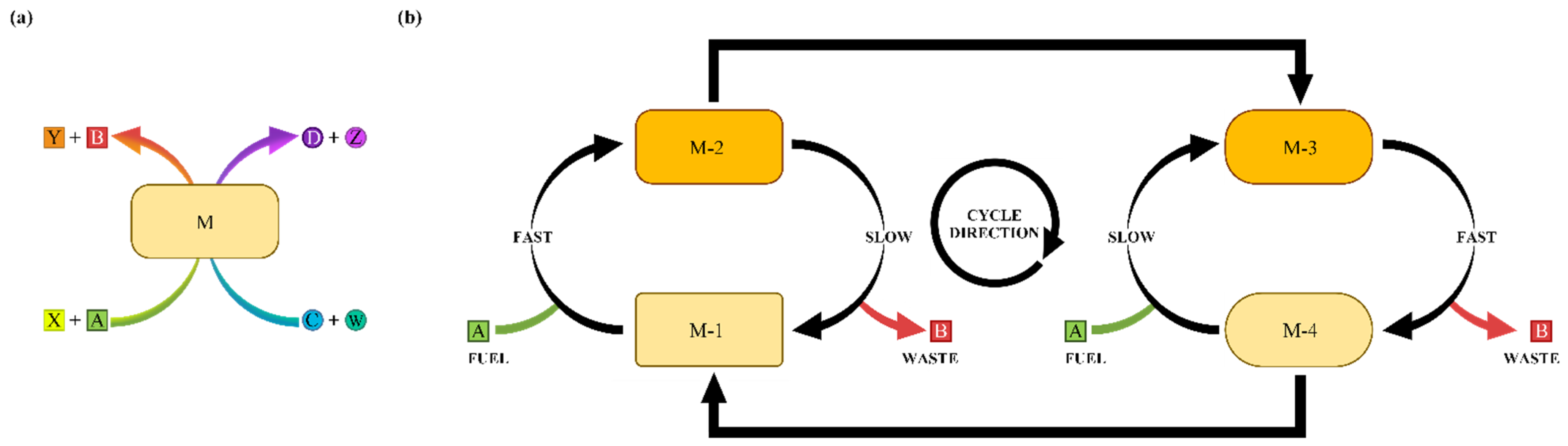 Molecules 30 00911 g015