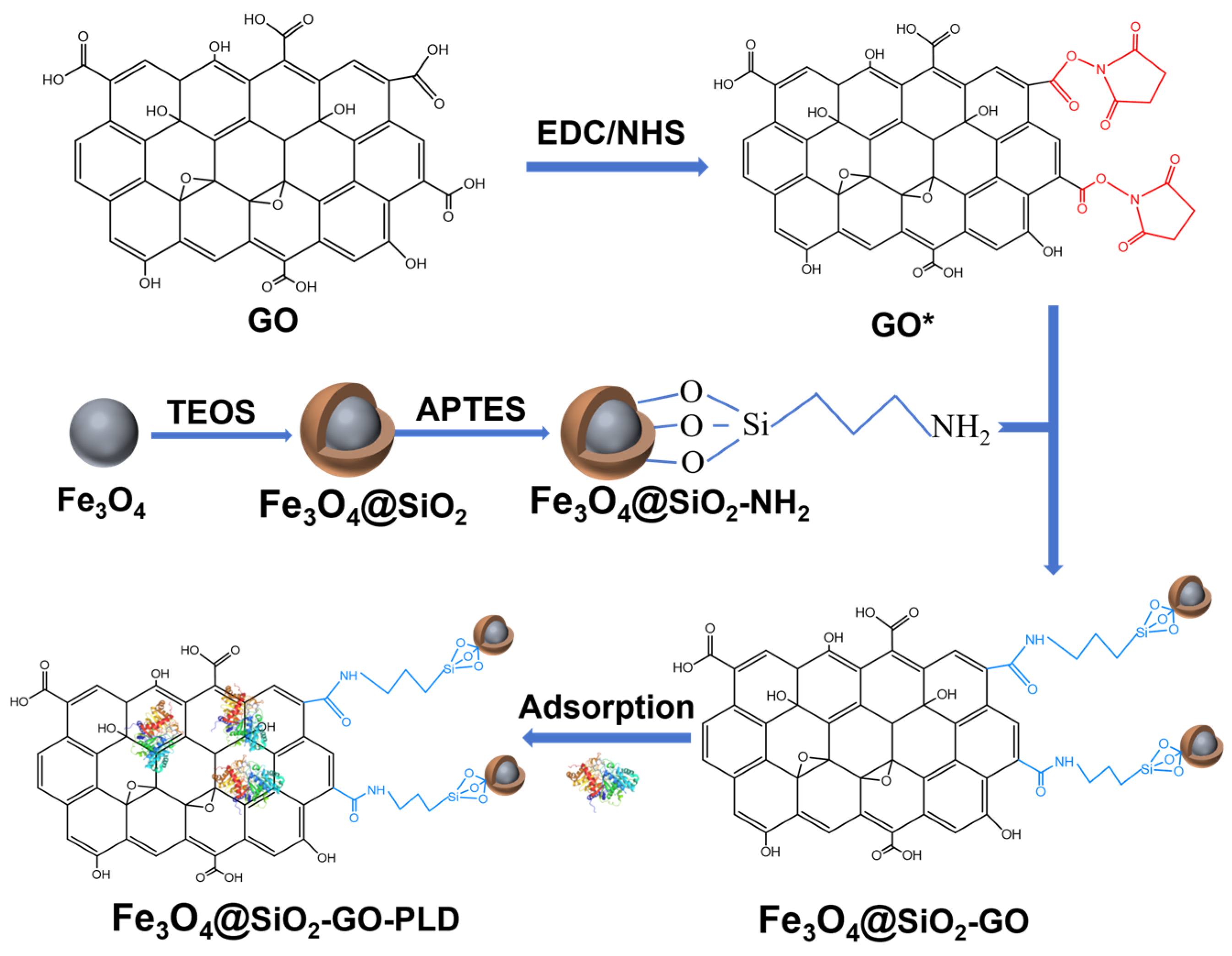 Molecules 30 00912 g009
