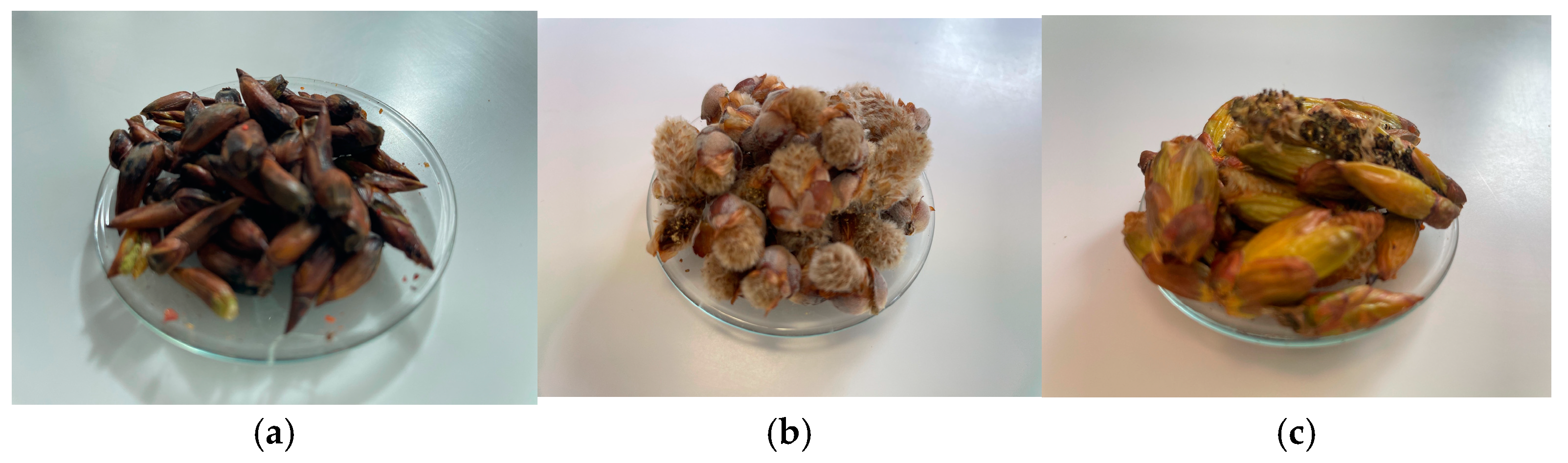 Molecules 30 00913 g005 Molecules 30 00913 g005